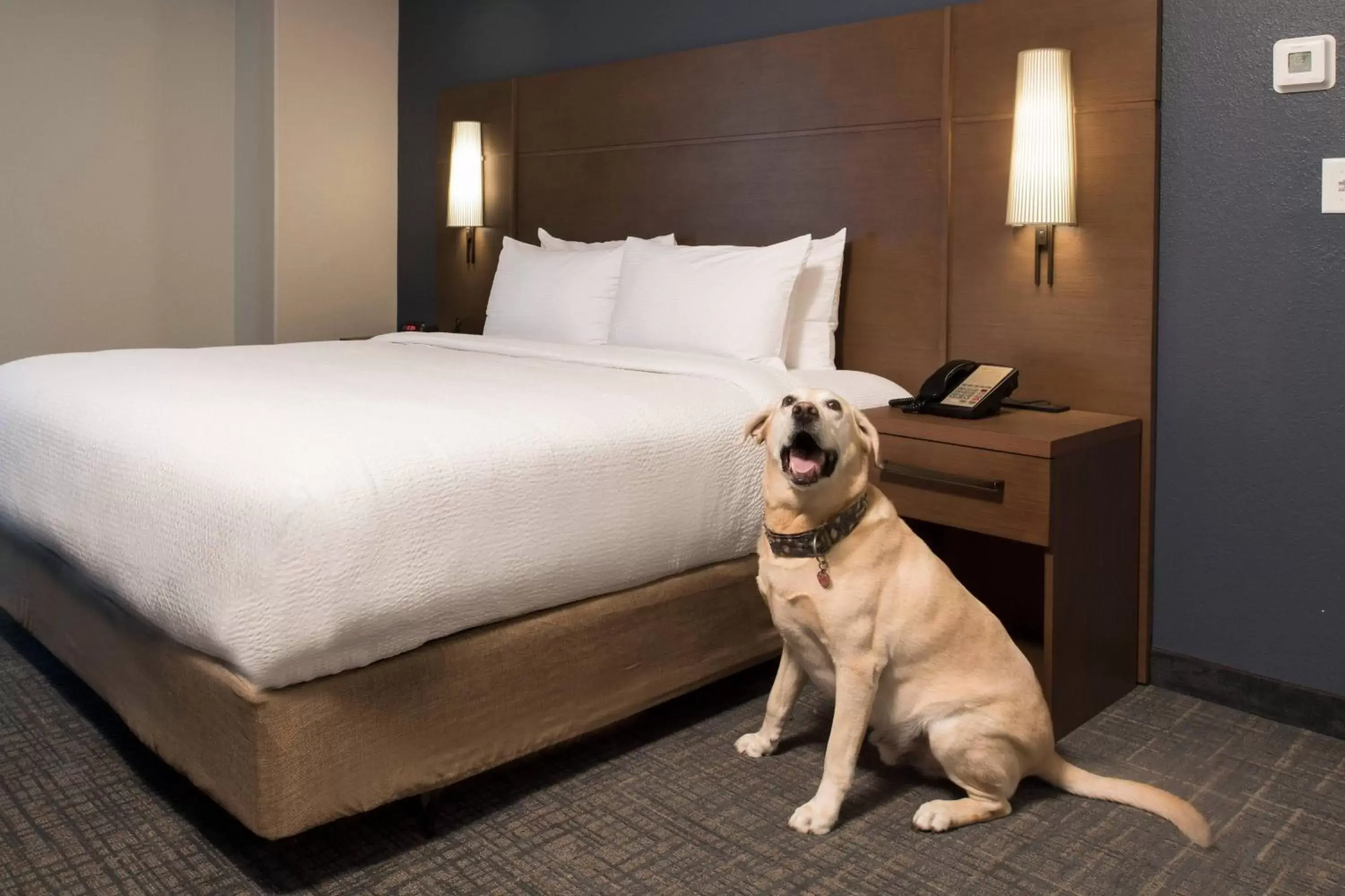 Photo of the whole room, Bed in Residence Inn Memphis Downtown