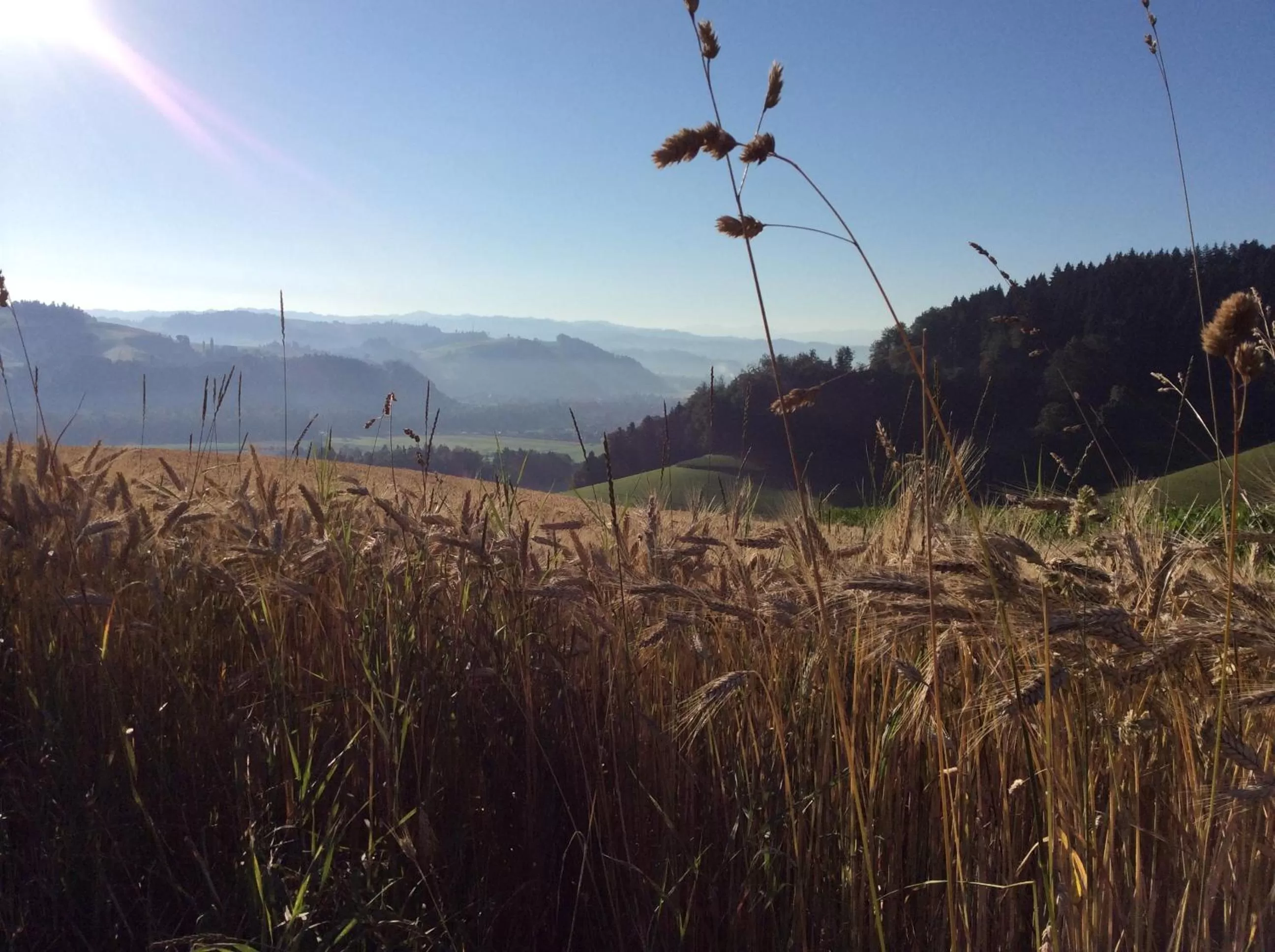 Property building in Landcafe mit Mini Hotel