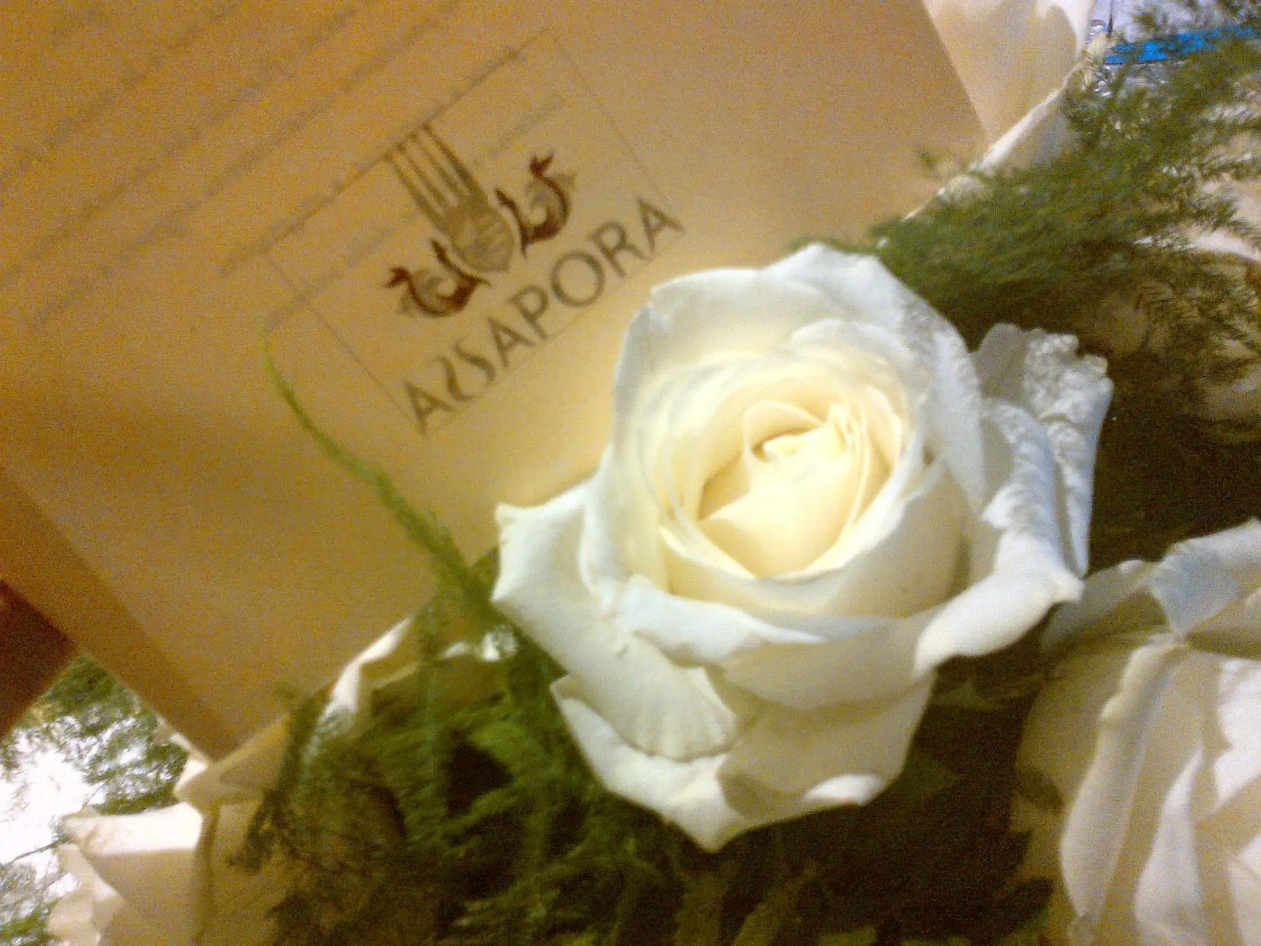 Restaurant/places to eat in TH Assisi - Hotel Cenacolo Restaurant/places to eat in TH Assisi - Hotel Cenacolo