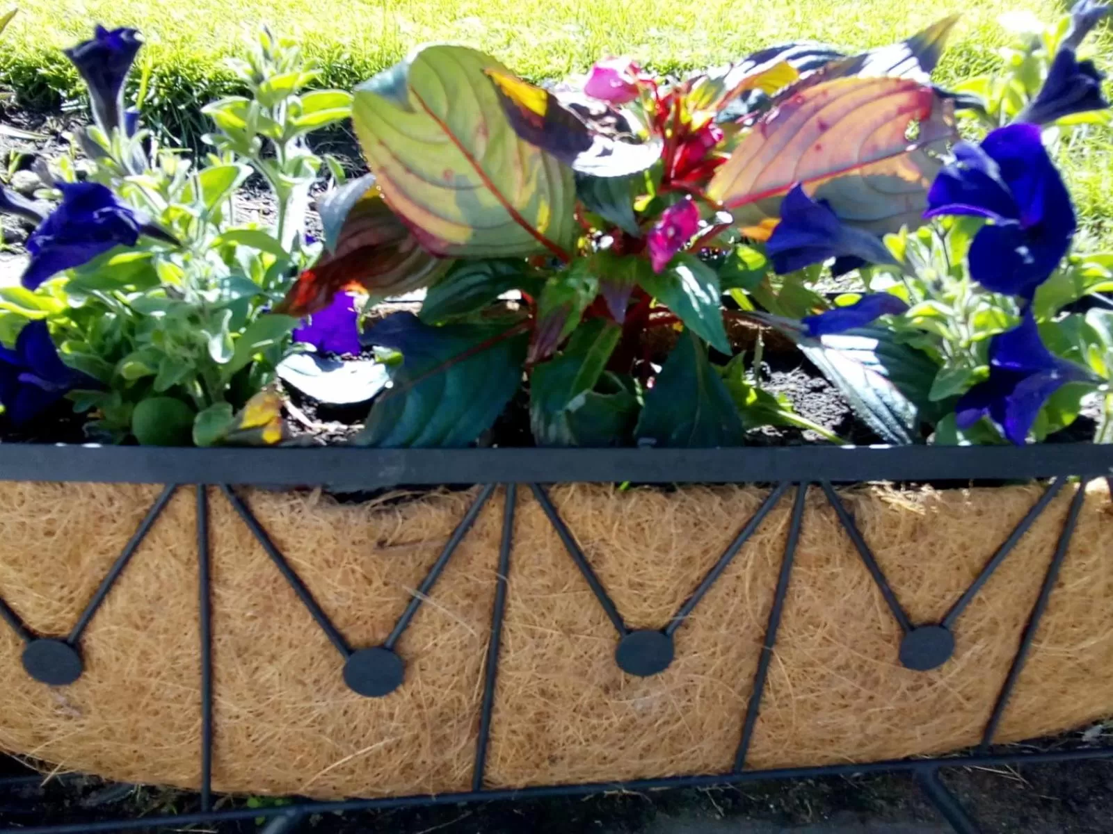 The Milton Accommodation