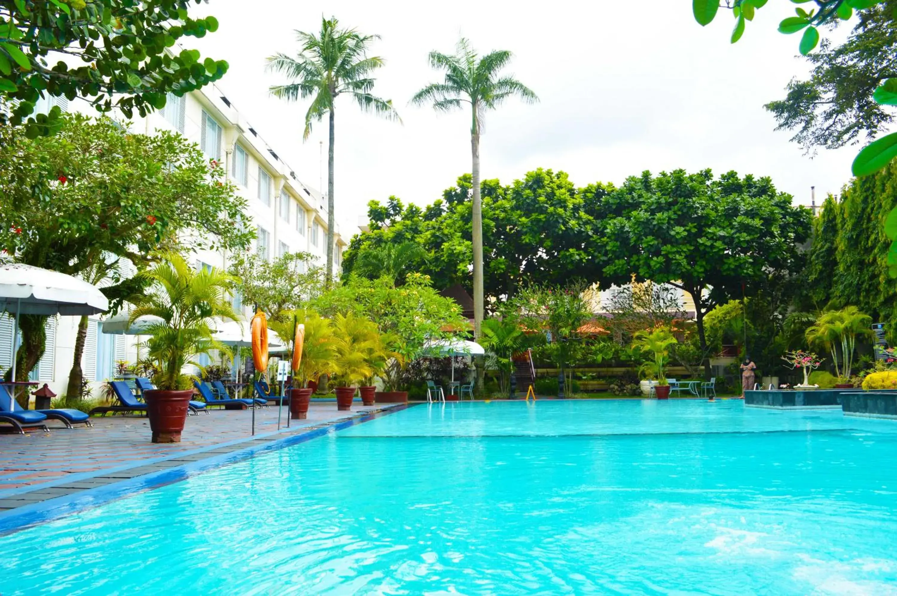 Swimming pool in Hotel New Saphir Yogyakarta