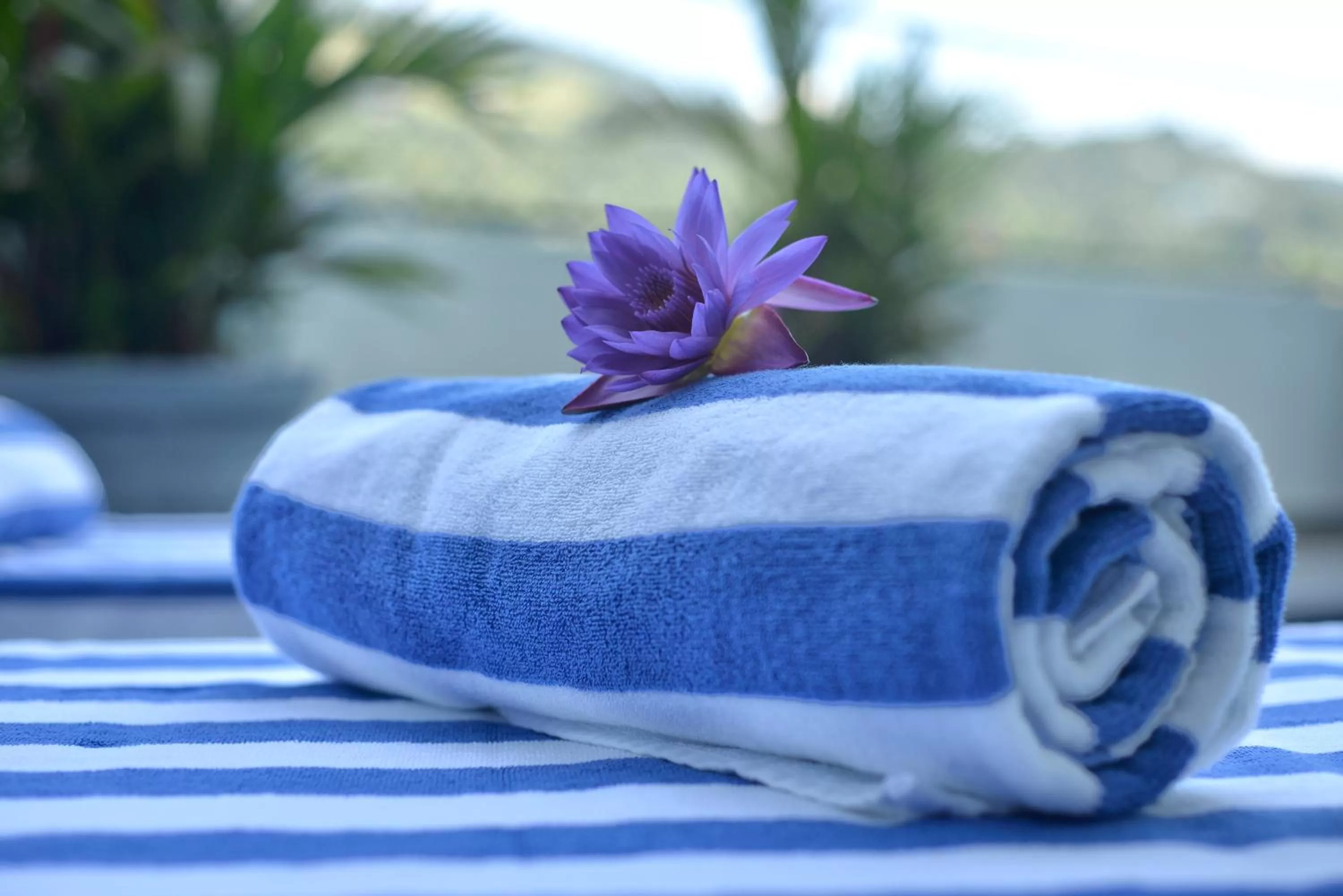 towels in Royal Kandyan Hotel