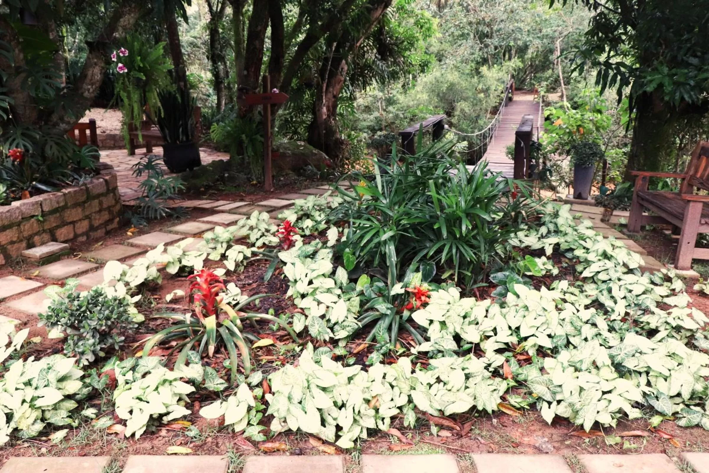 Garden in Pousada Santa Thereza