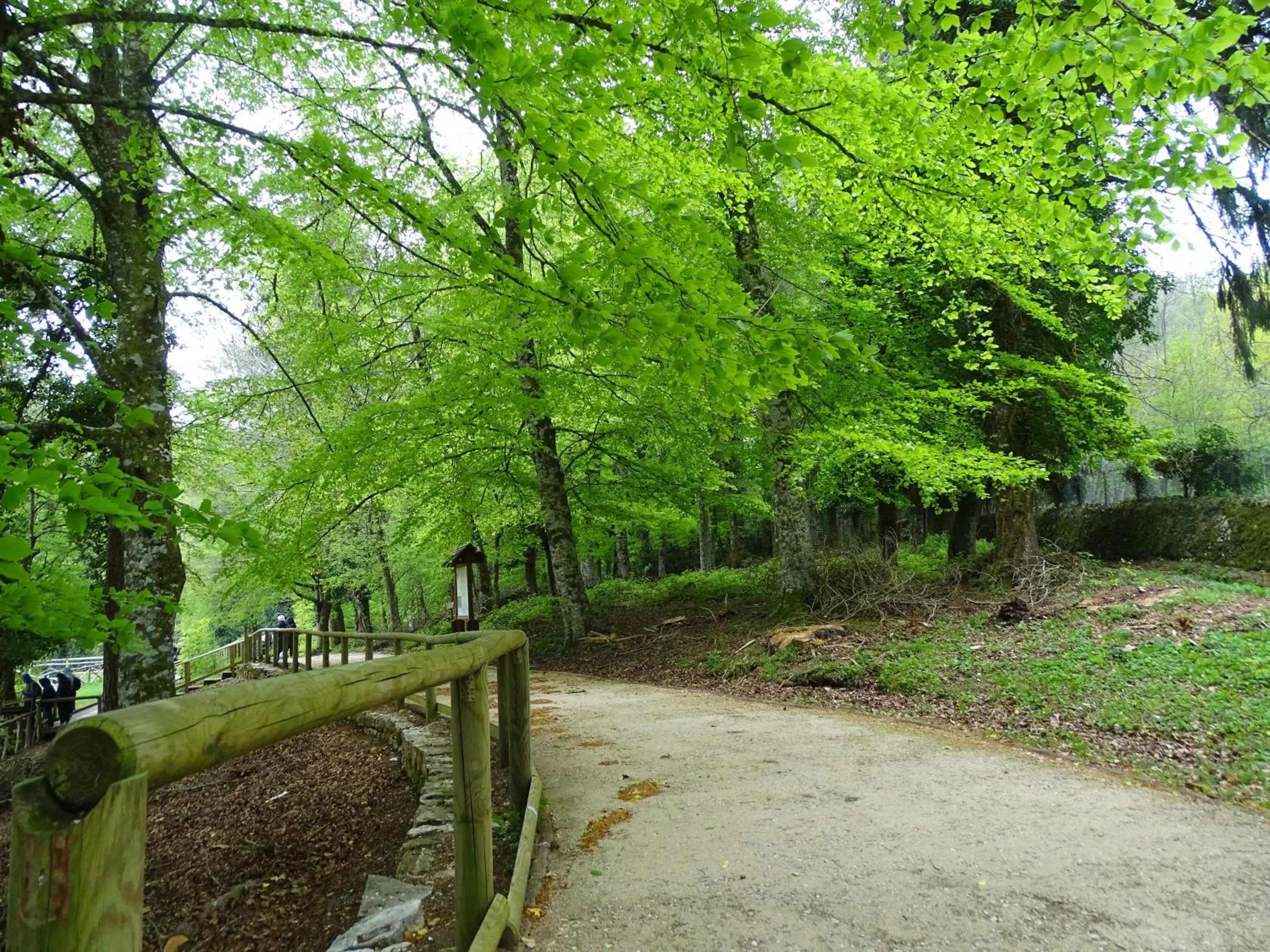 Hiking in Villa Biancofiore