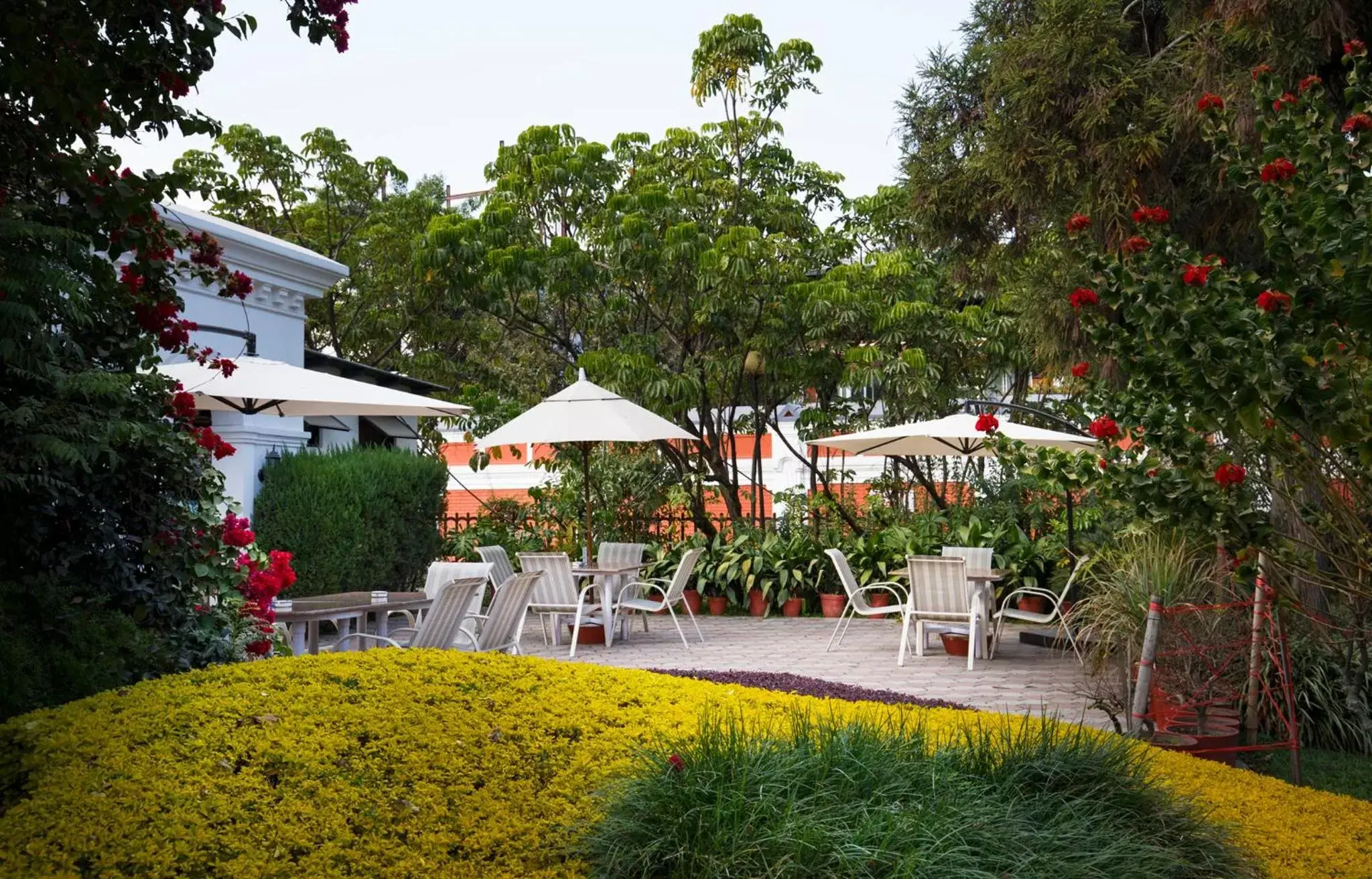 Garden in Hotel Shanker