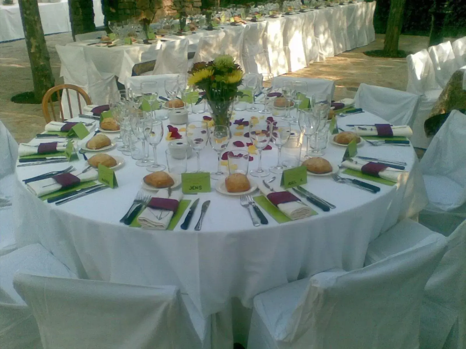 Banquet/Function facilities, Banquet Facilities in Hotel Sara De Ur