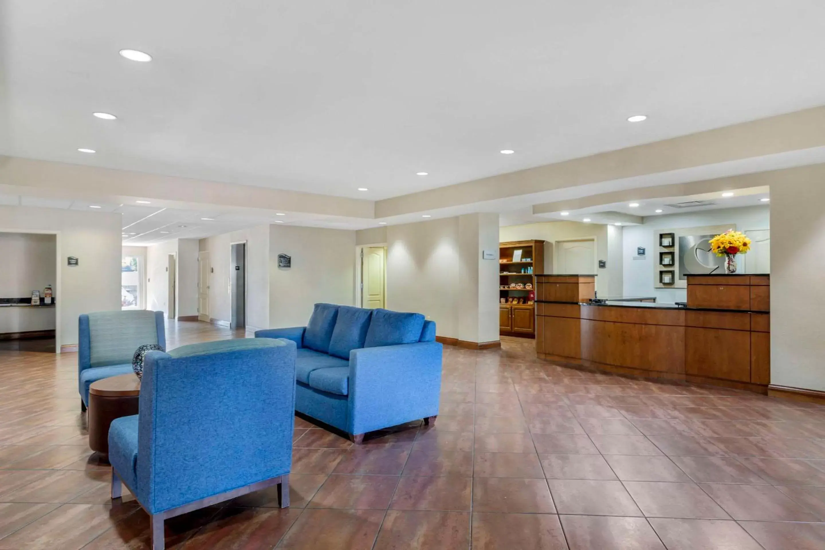 Lobby or reception, Lobby/Reception in Comfort Suites East Knoxville