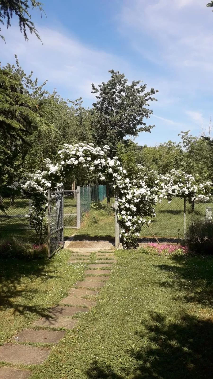 Garden in B&B Mo Va Là