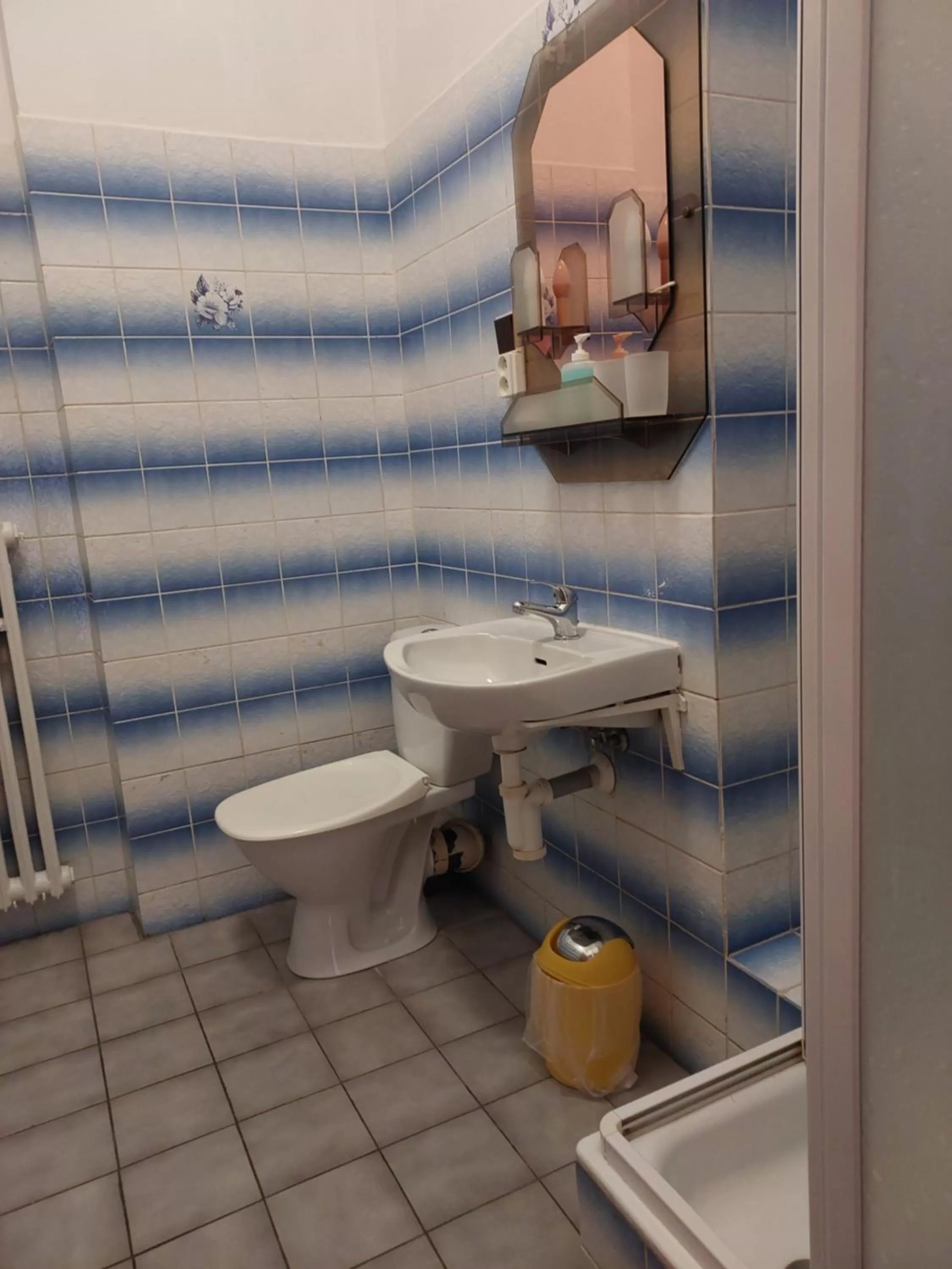 Bathroom in Hotel Asila