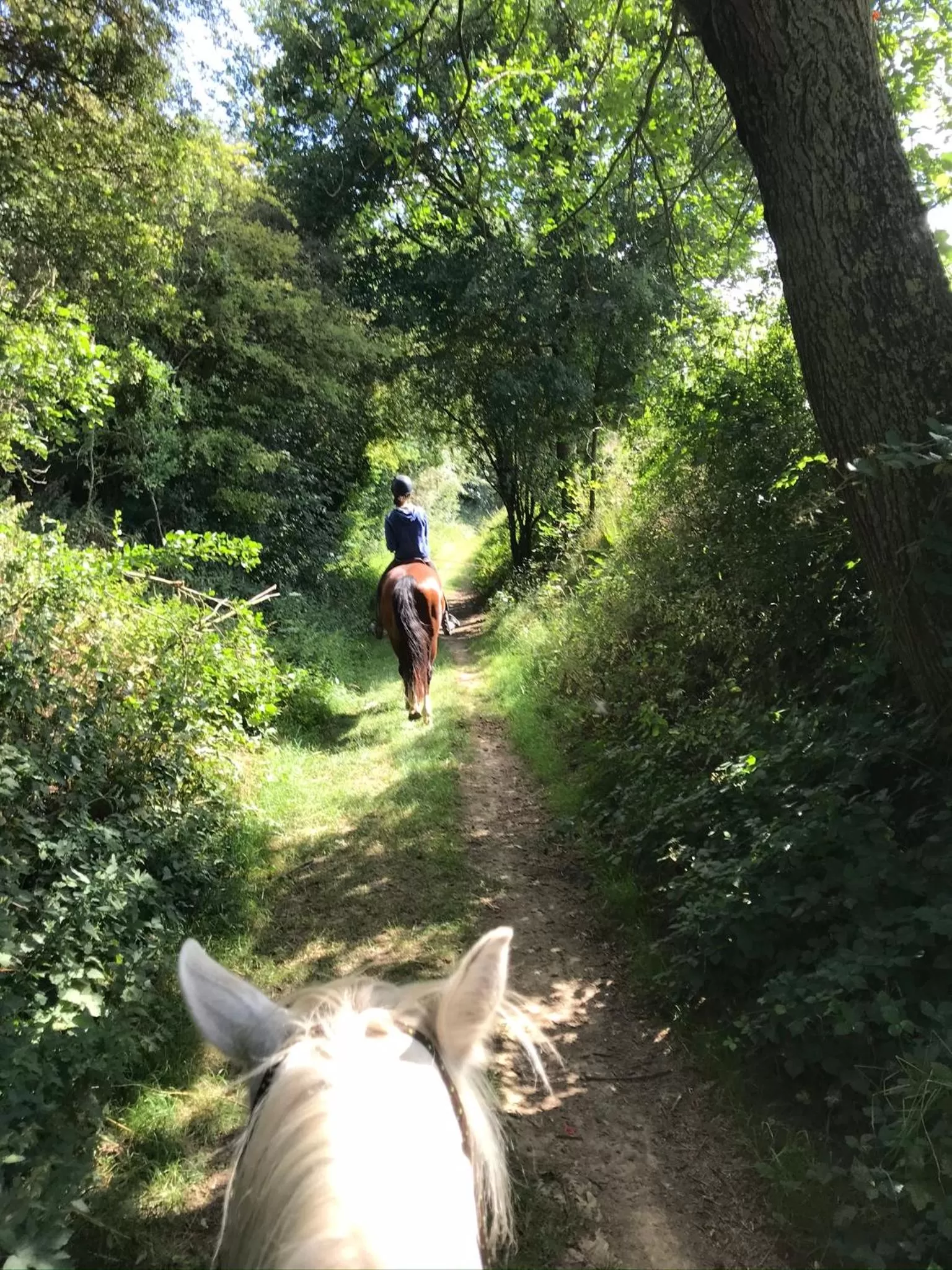 Hiking in Ferme de Genève