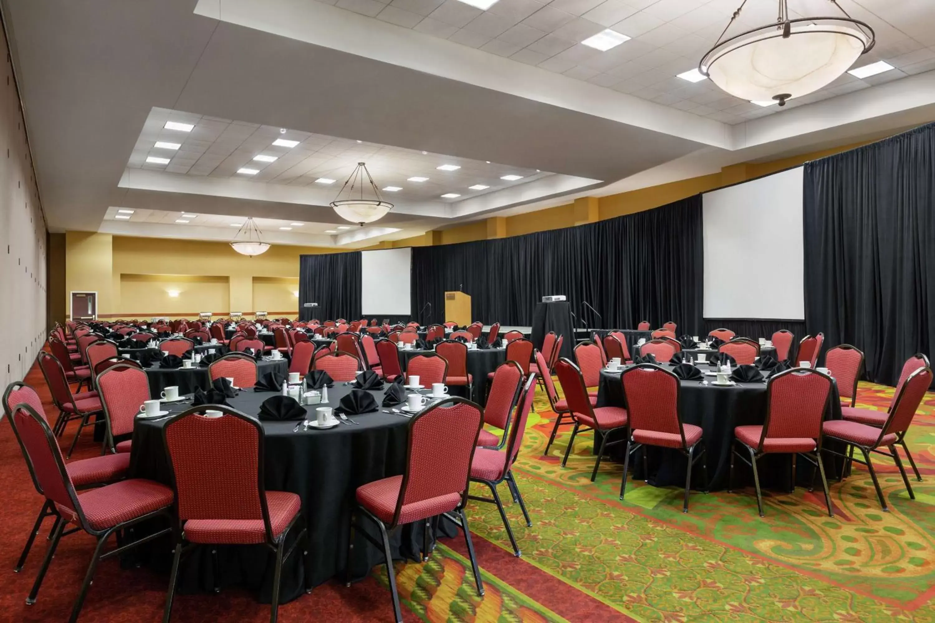 Meeting/conference room, Banquet Facilities in Hampton Inn & Suites Dallas-Mesquite