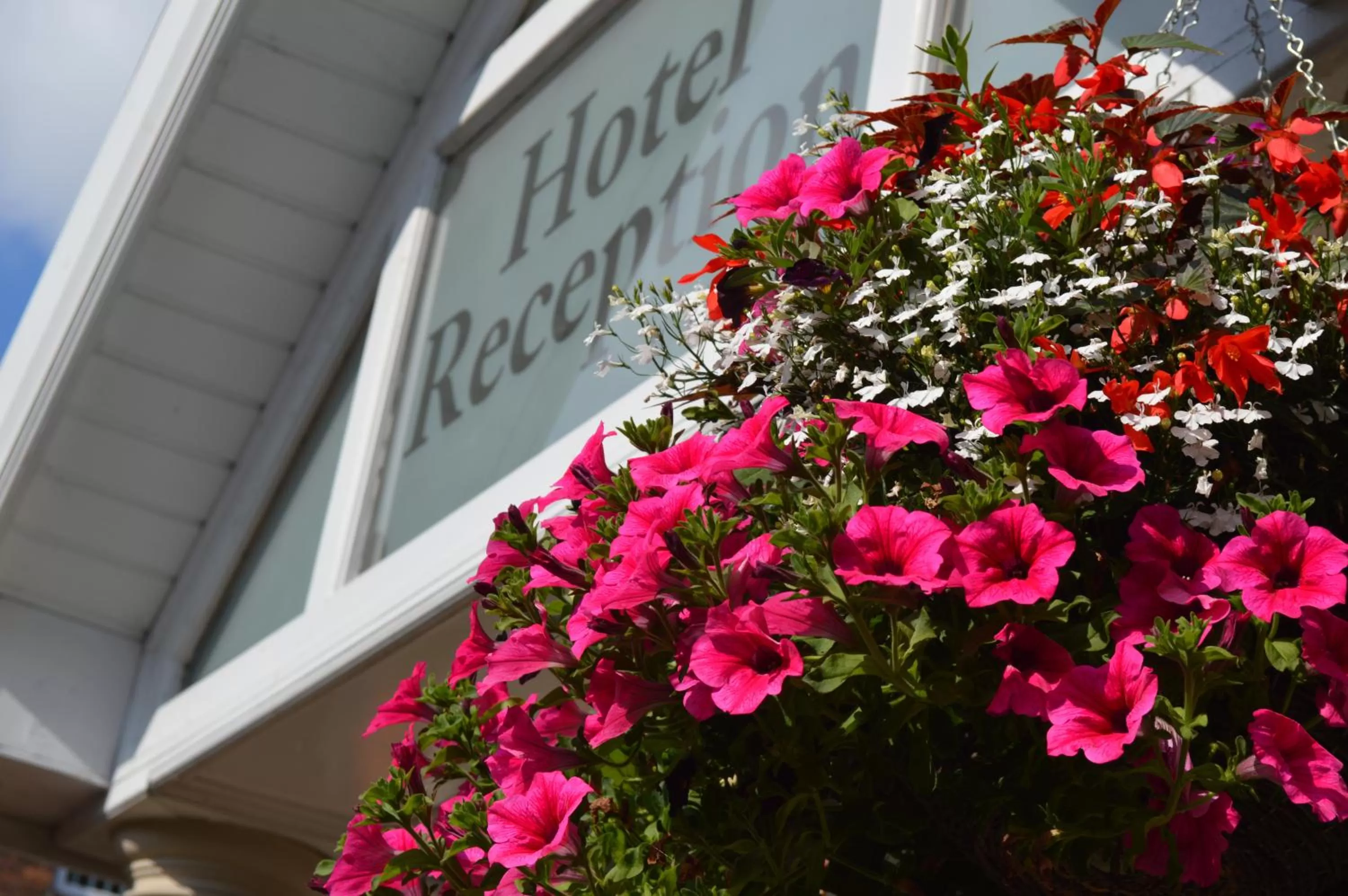 Day in The Westlynne Hotel & Apartments