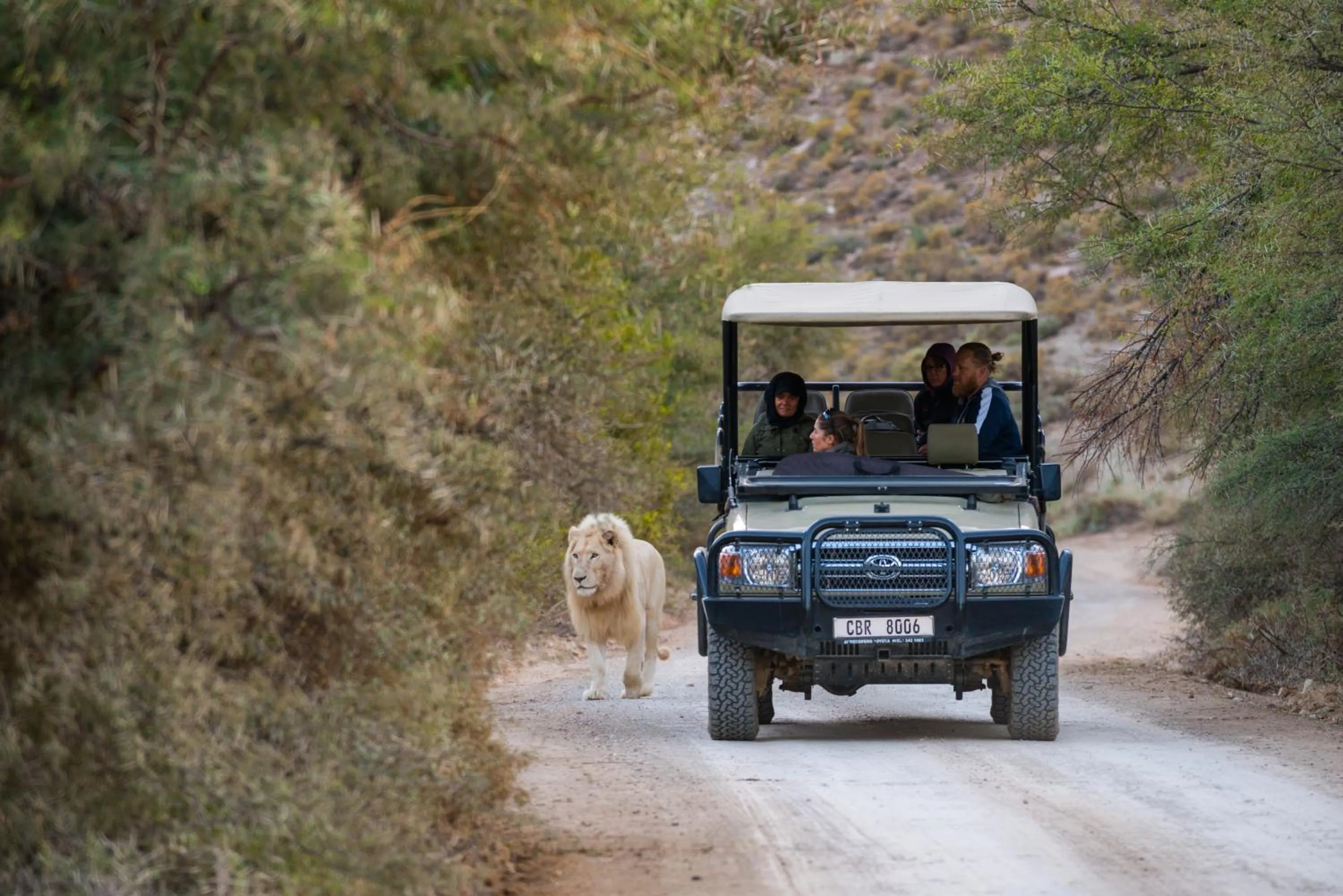 Activities in Sanbona Wildlife Reserve