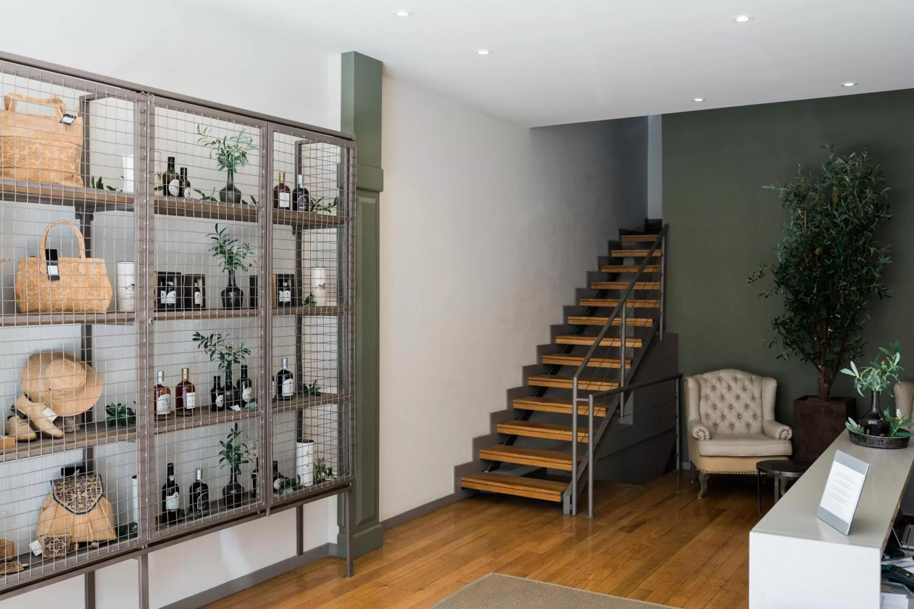 Olive Nature – Tourism Apartments Olive Nature – Tourism Apartments