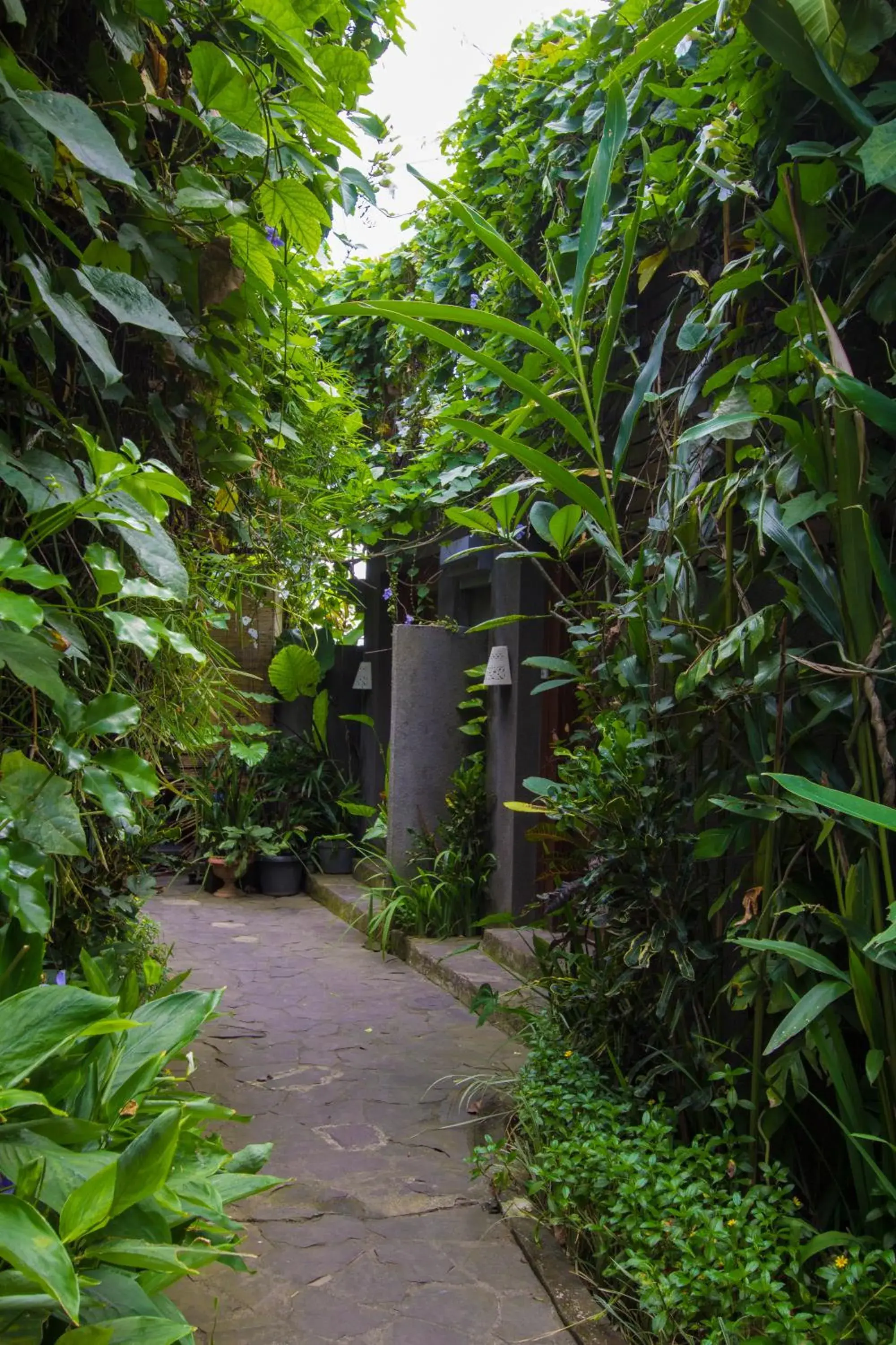Garden in Ladera Villa Ubud