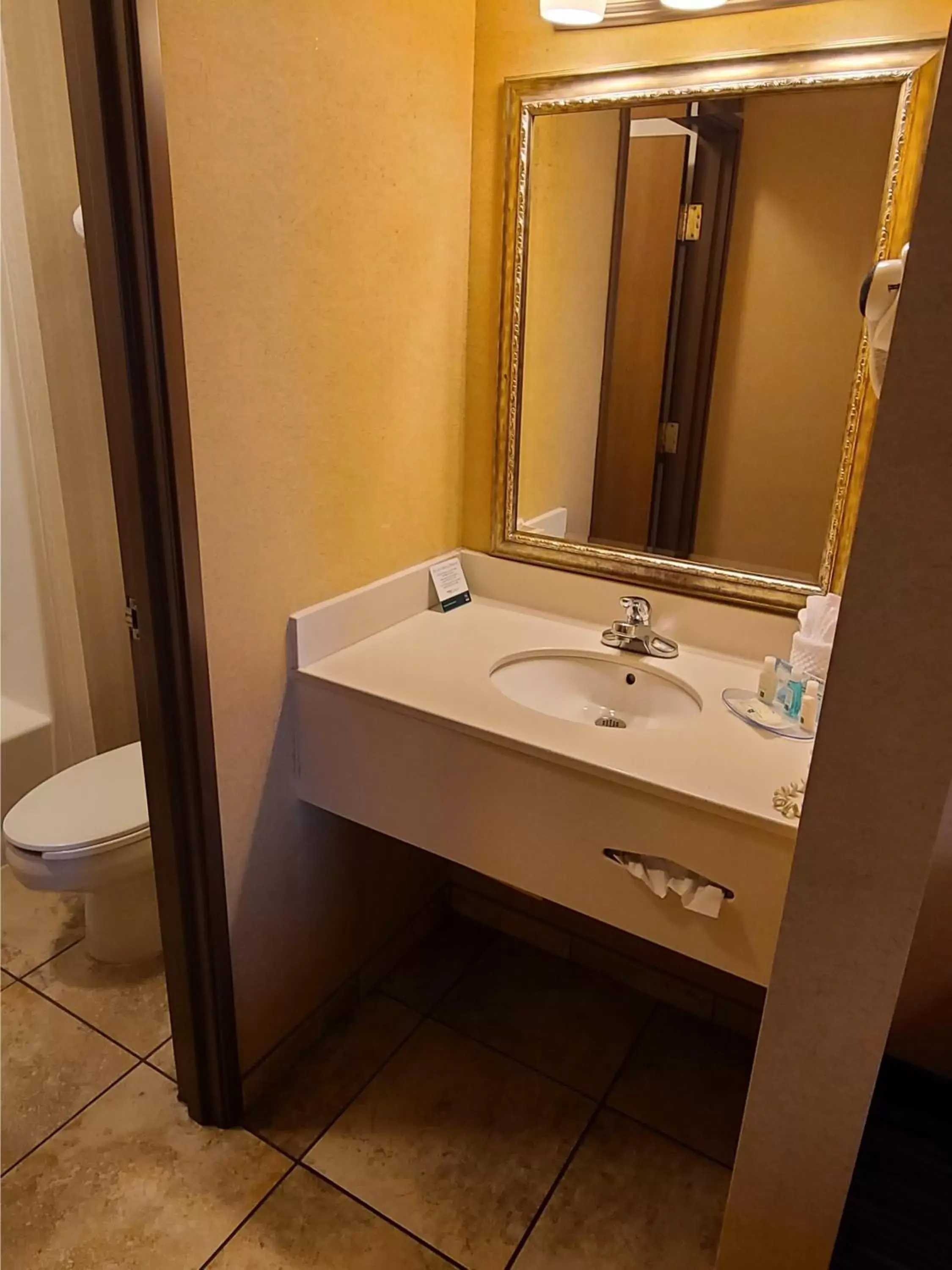 Bathroom in Quality Inn & Suites Wellington – Fort Collins