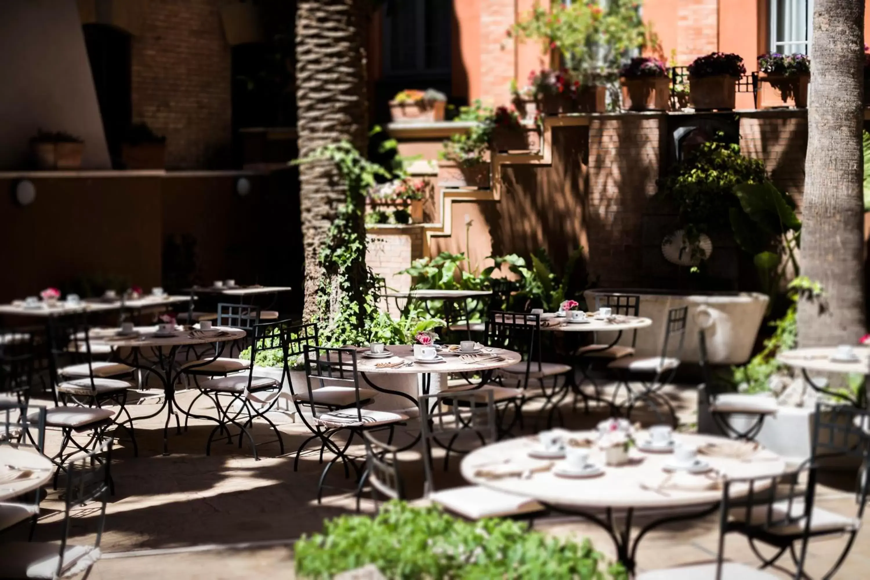 Garden, Restaurant/Places to Eat in Hotel Ponte Sisto