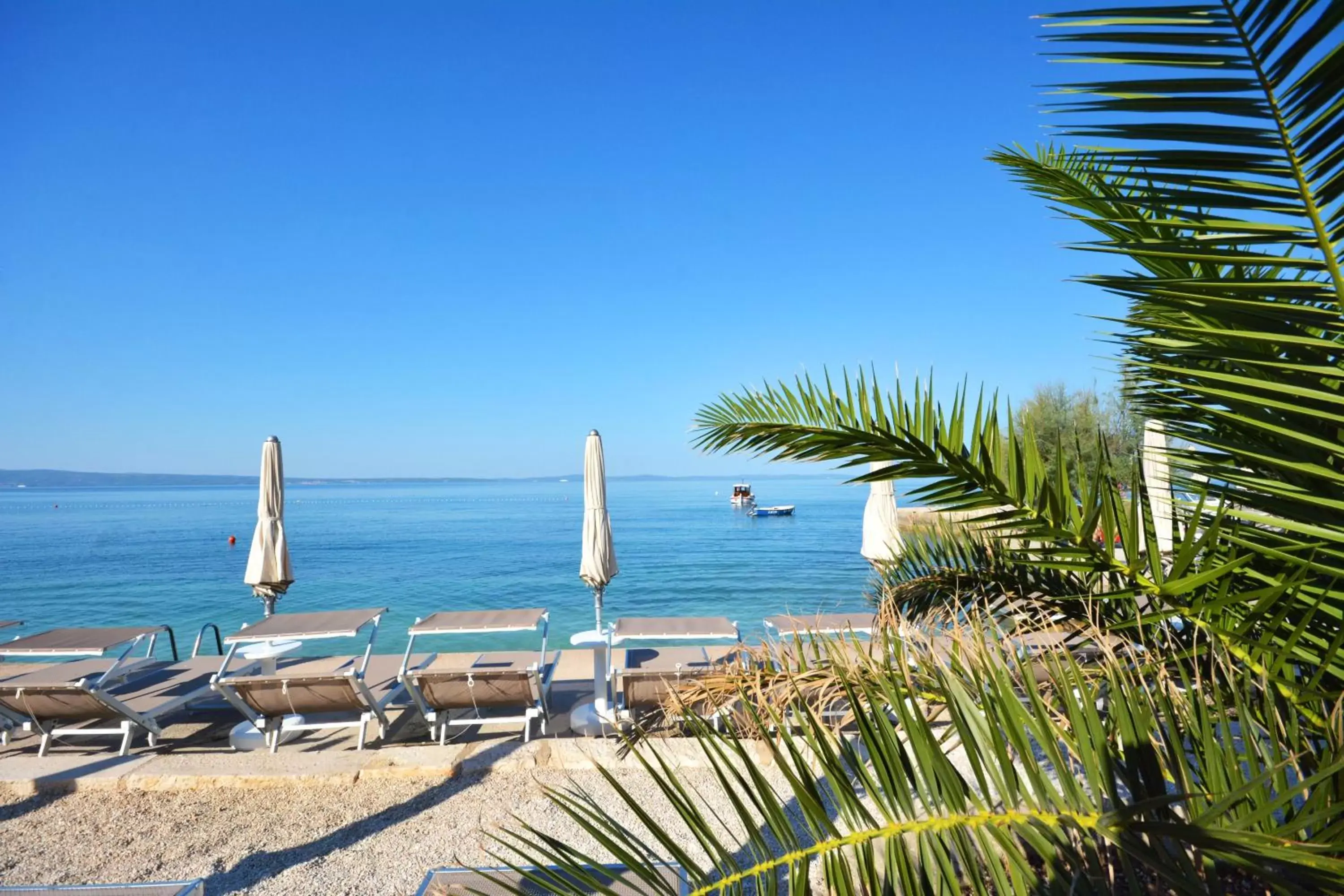 Beach in Hotel San Antonio