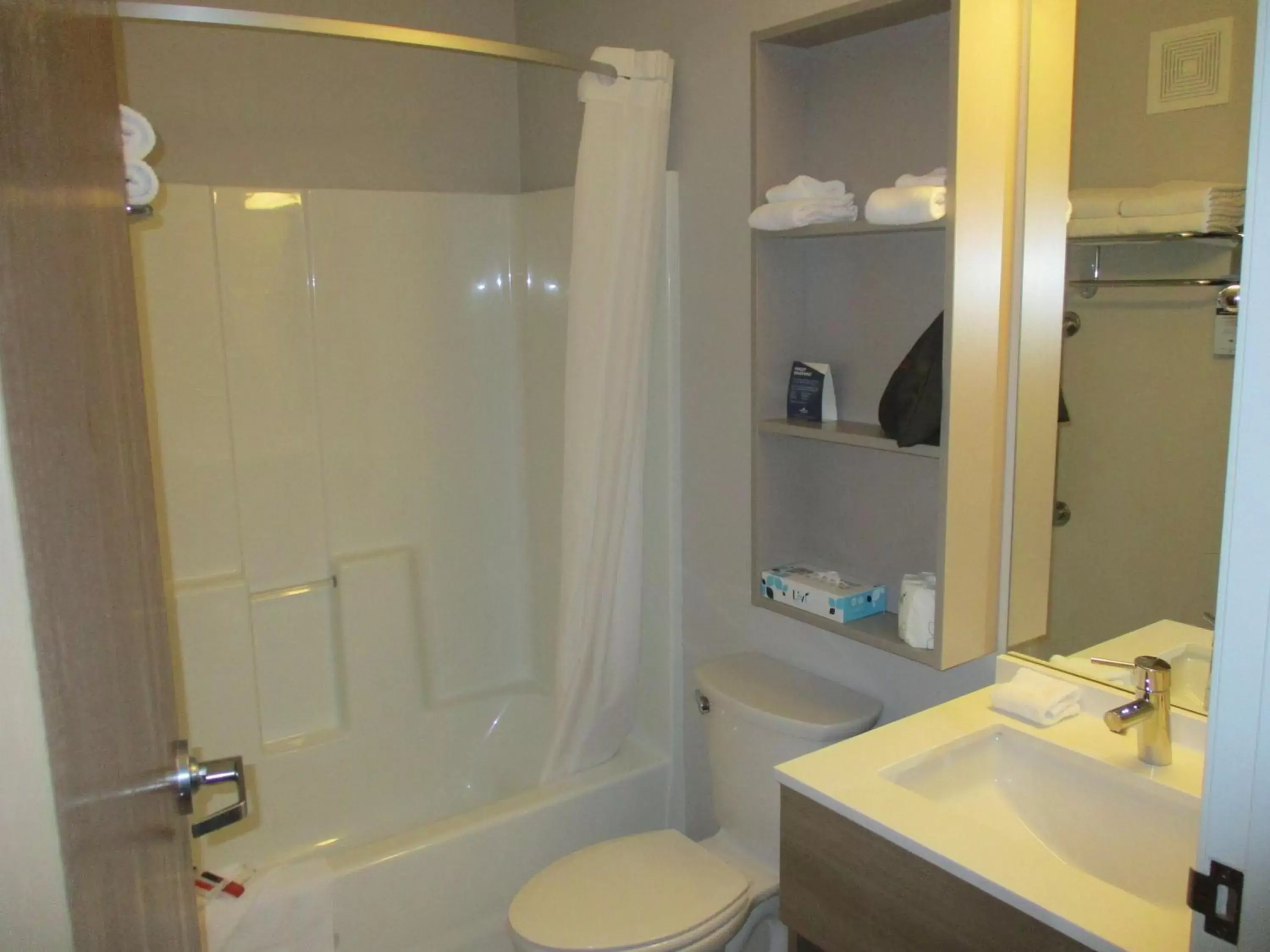 Bathroom in Microtel Inn & Suites by Wyndham Vernal/Naples