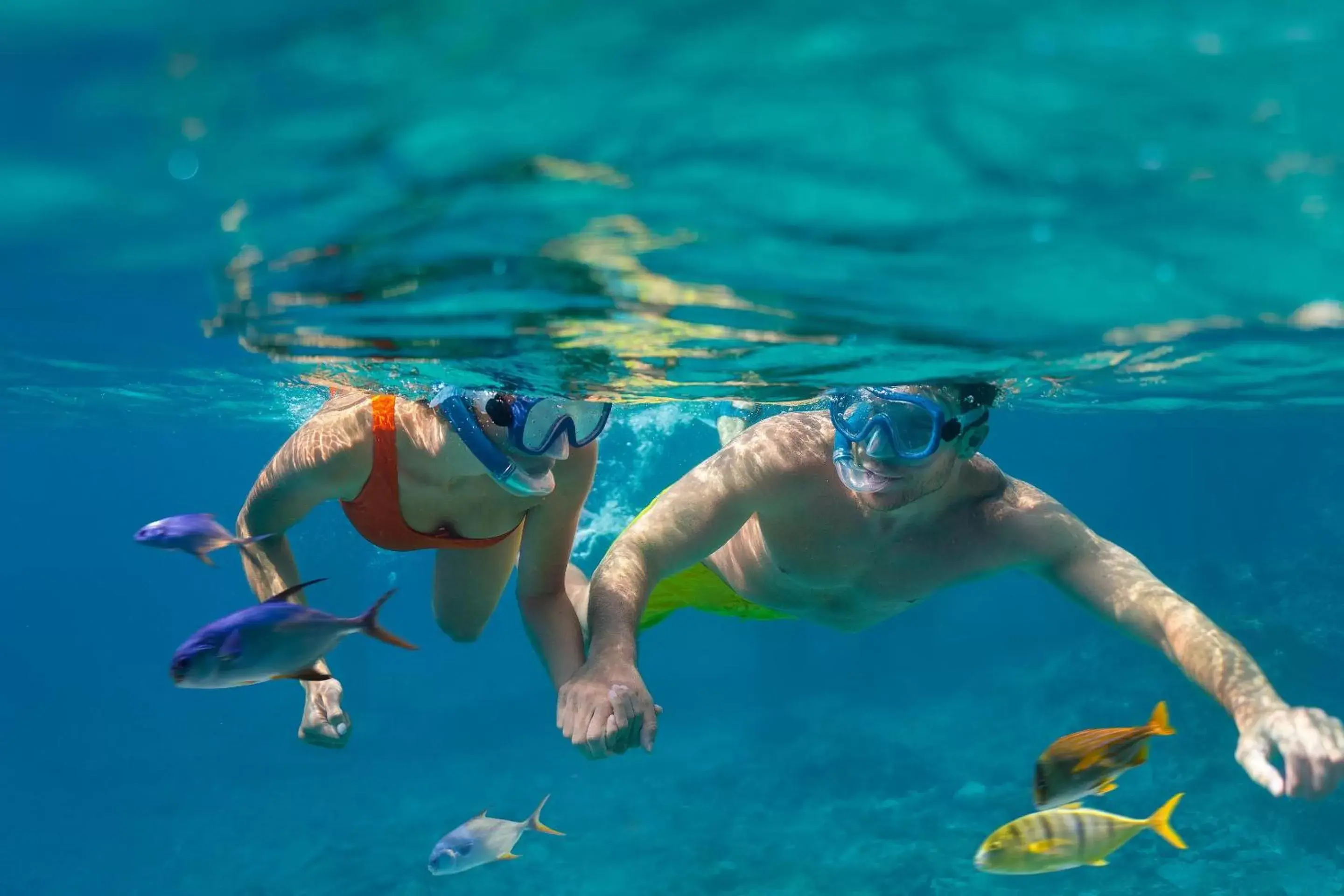 Snorkeling in Cozumel Palace-All Inclusive