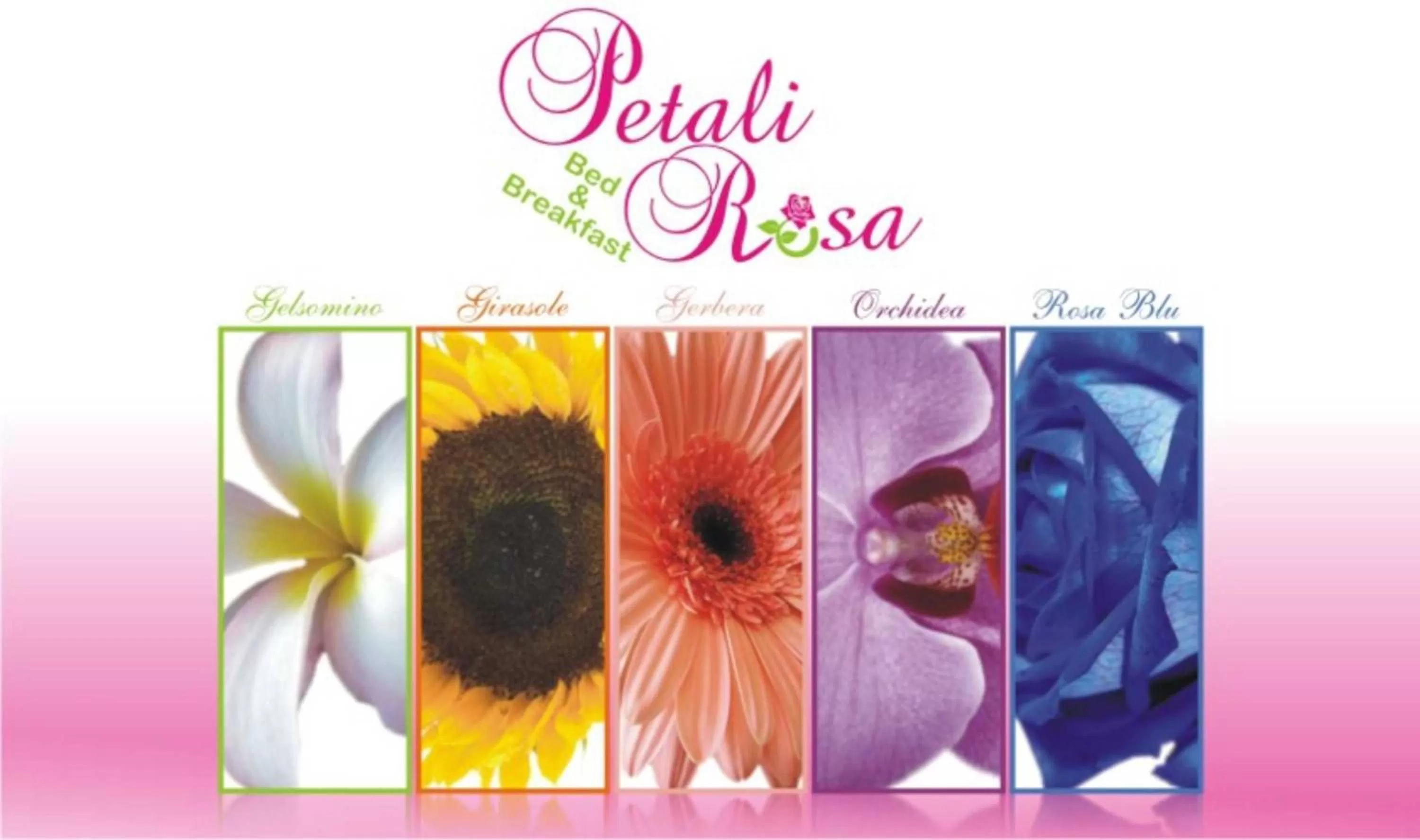 Property logo or sign, Property Logo/Sign in Beb Petali Rosa