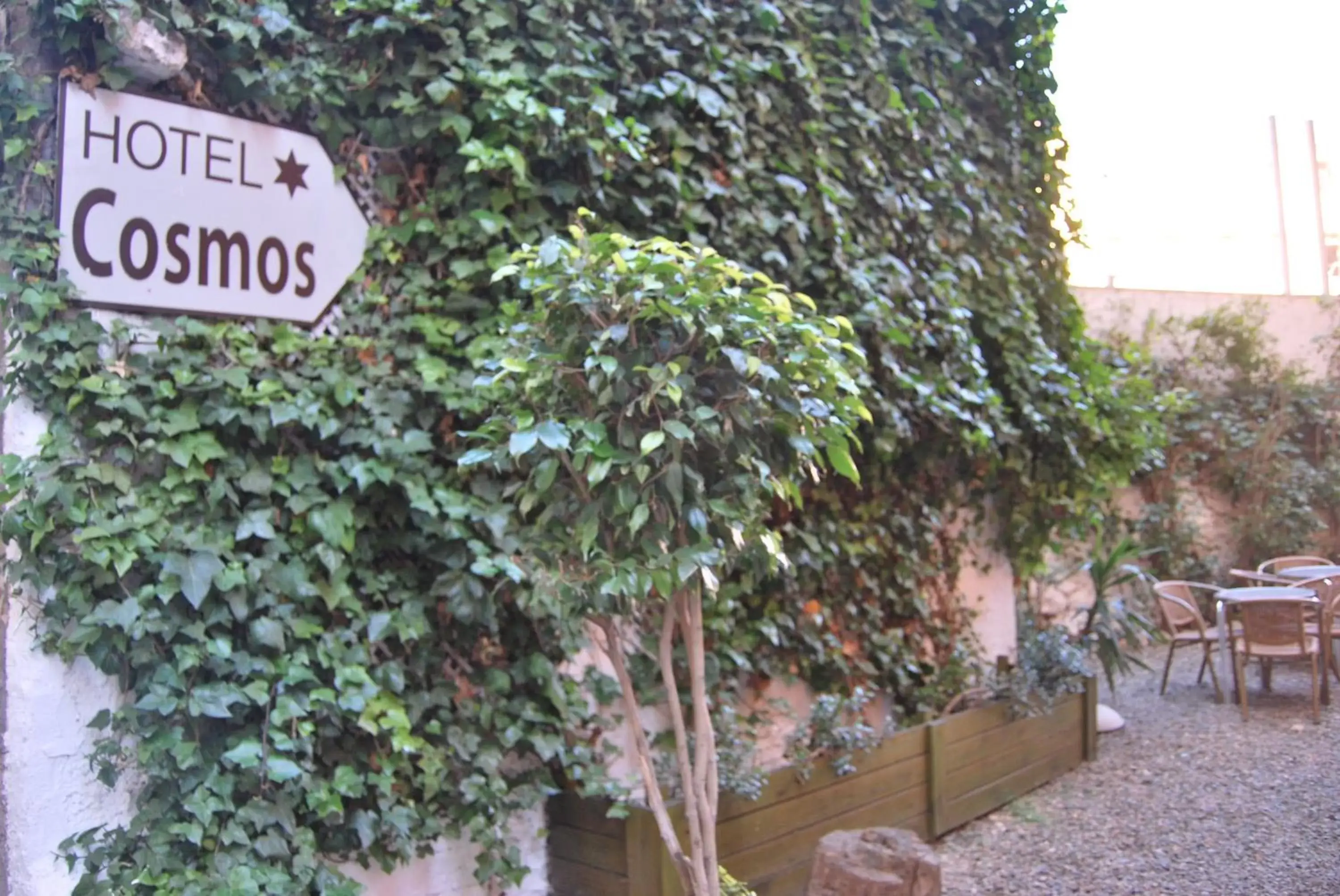 Garden in Hotel Cosmos Tarragona