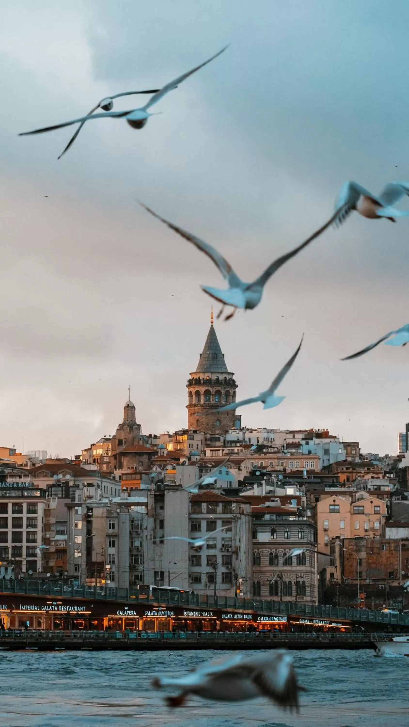 Natural landscape in Hotel Gritti Pera & Spa