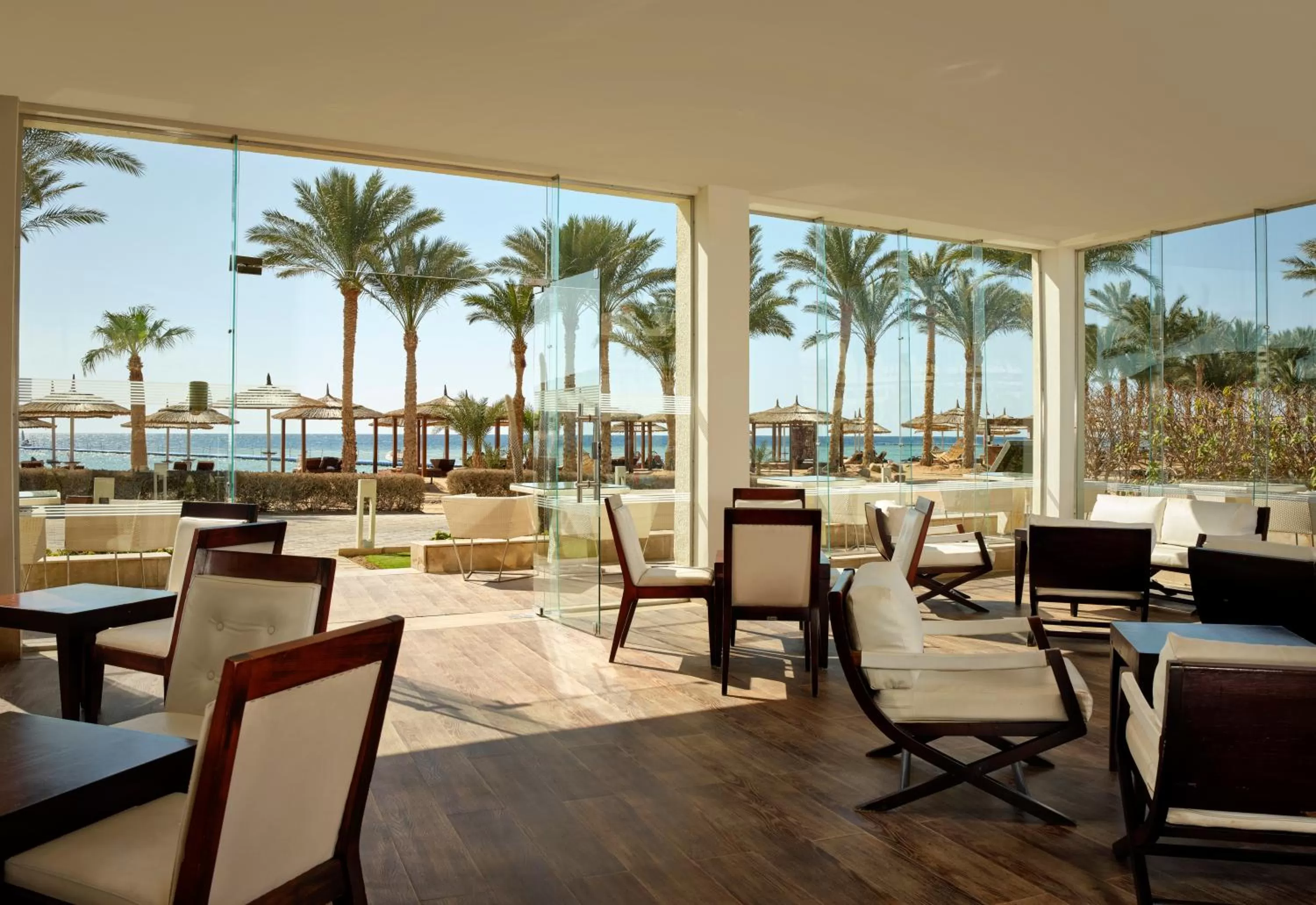 Lounge or bar in Coral Sea Imperial "Coral Sea Sensatori"