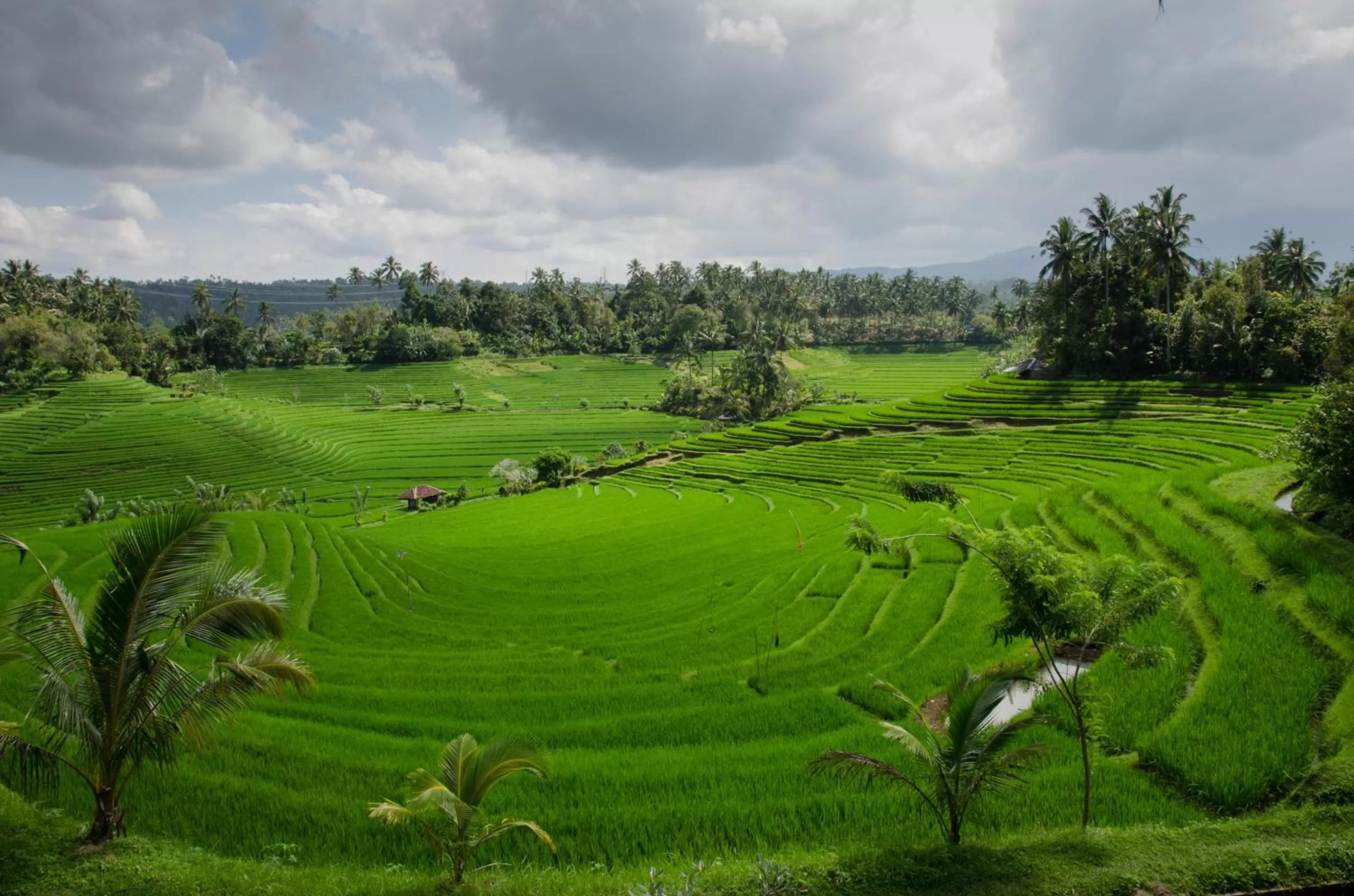 Activities in Plataran Ubud Hotel & Spa - CHSE Certified