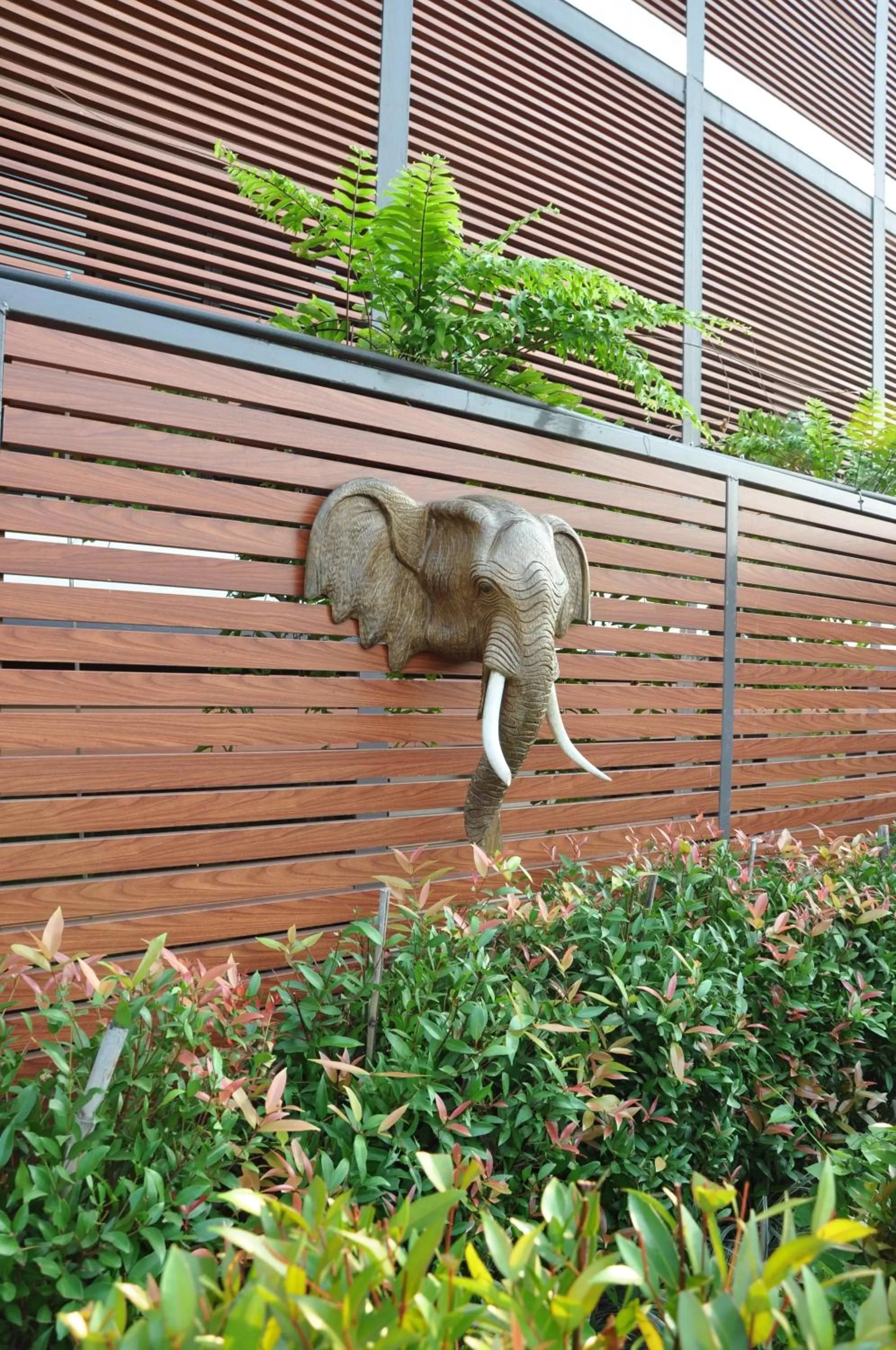 Other in The Gallery At Koh Chang