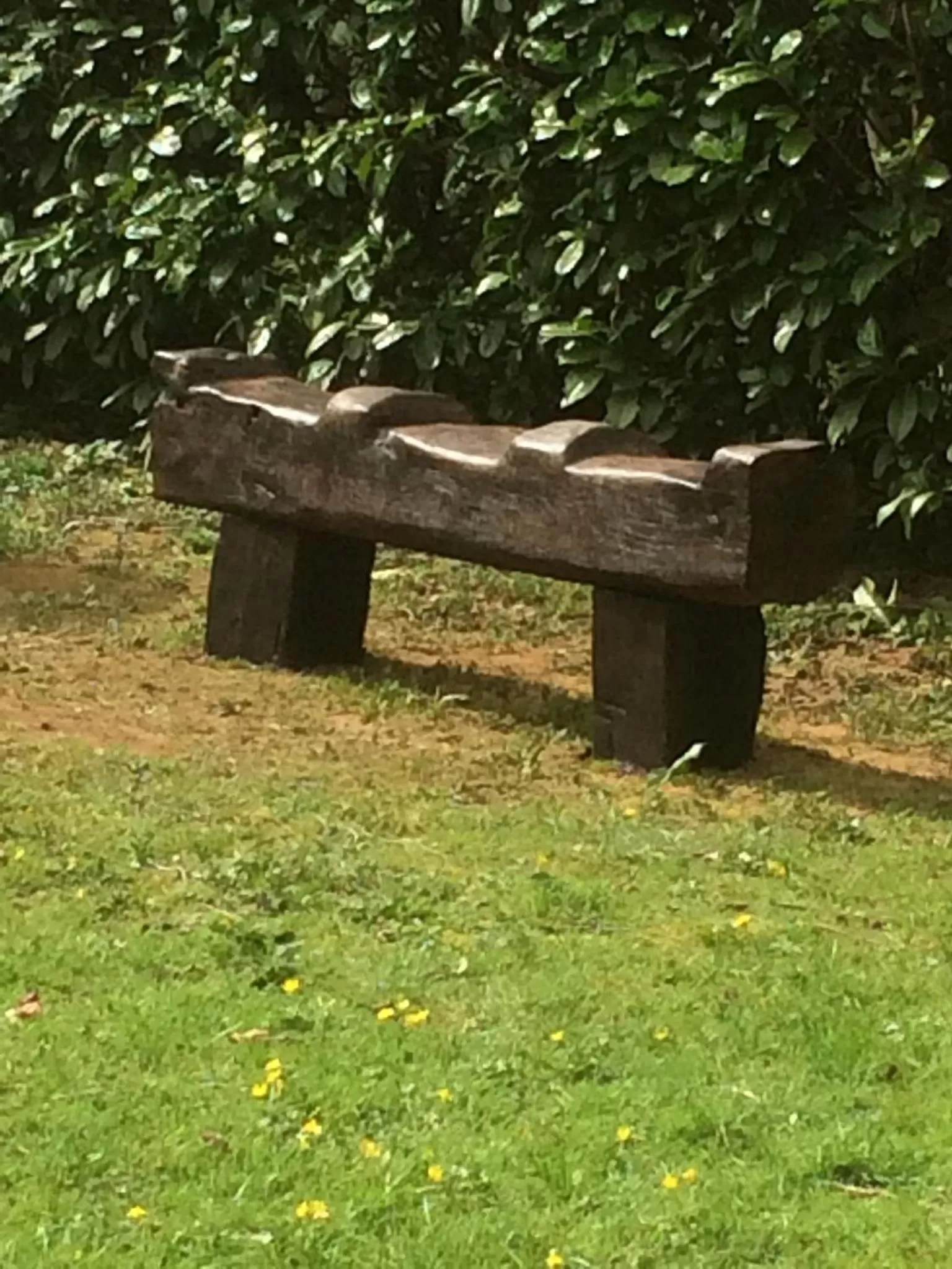 Garden in B&B Au Moulin 1771