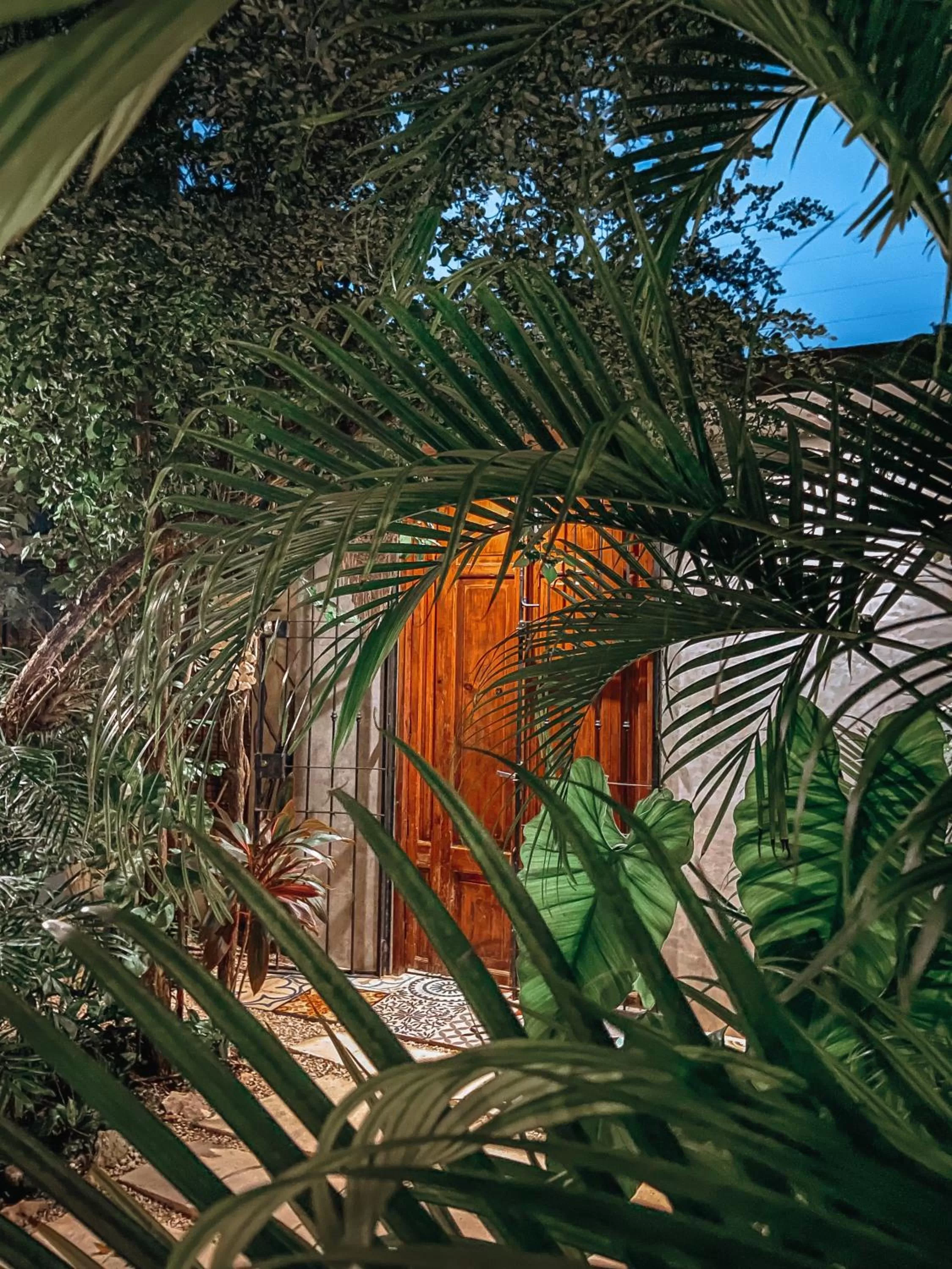 Garden in Trece Lunas Tulum - Enchanted Resort