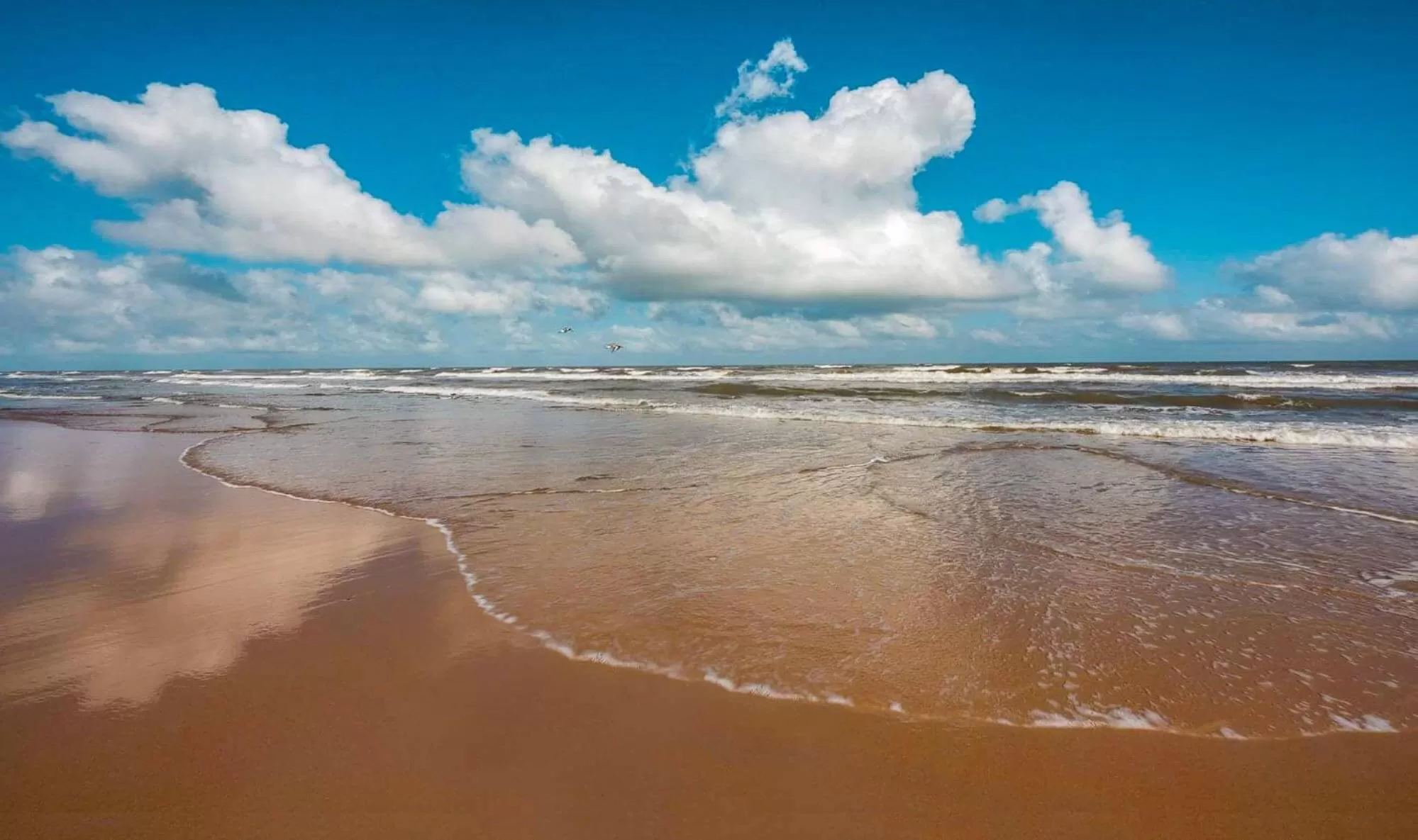 Beach in The Dawn on Galveston Beach