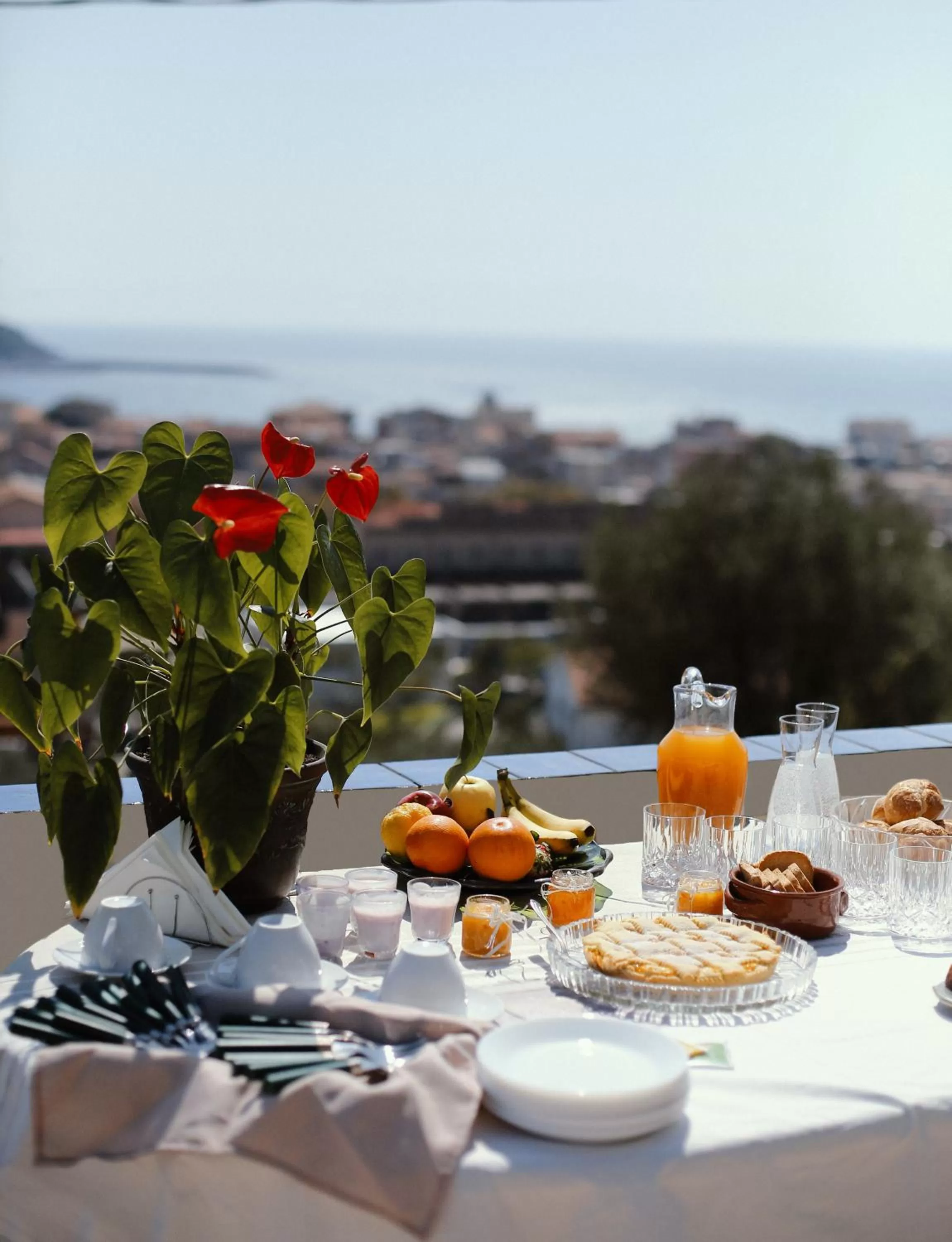 Food and drinks in Bed & Breakfast Spigolatrice