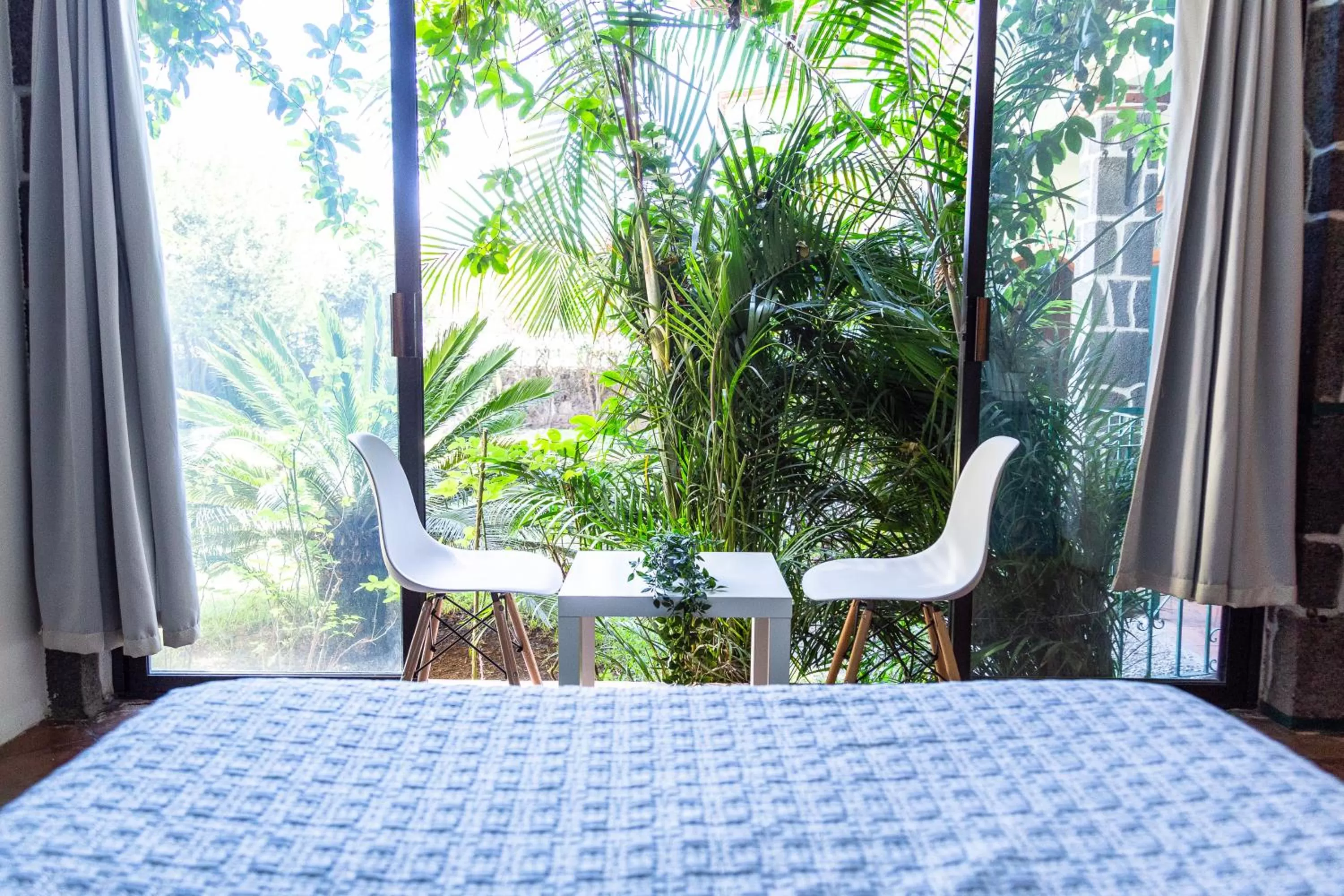 Balcony/Terrace in Colibrí Turquesa