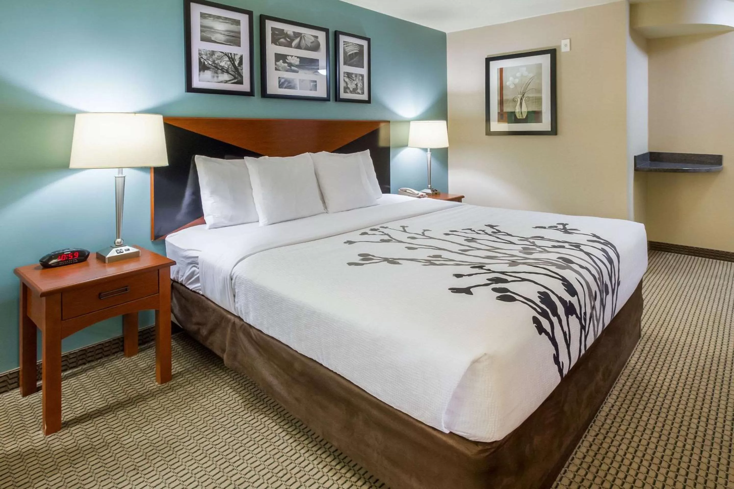 Photo of the whole room, Bed in Sleep Inn & Suites