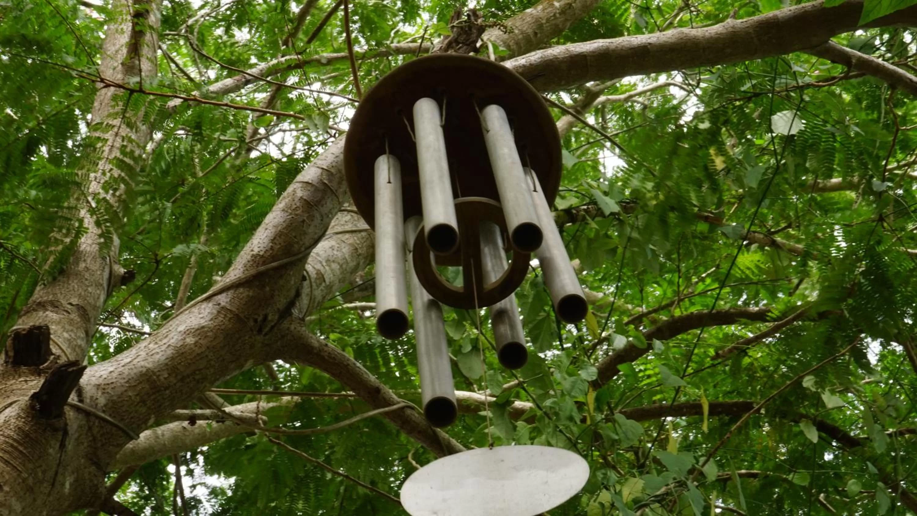 Decorative detail in Green's Guest House