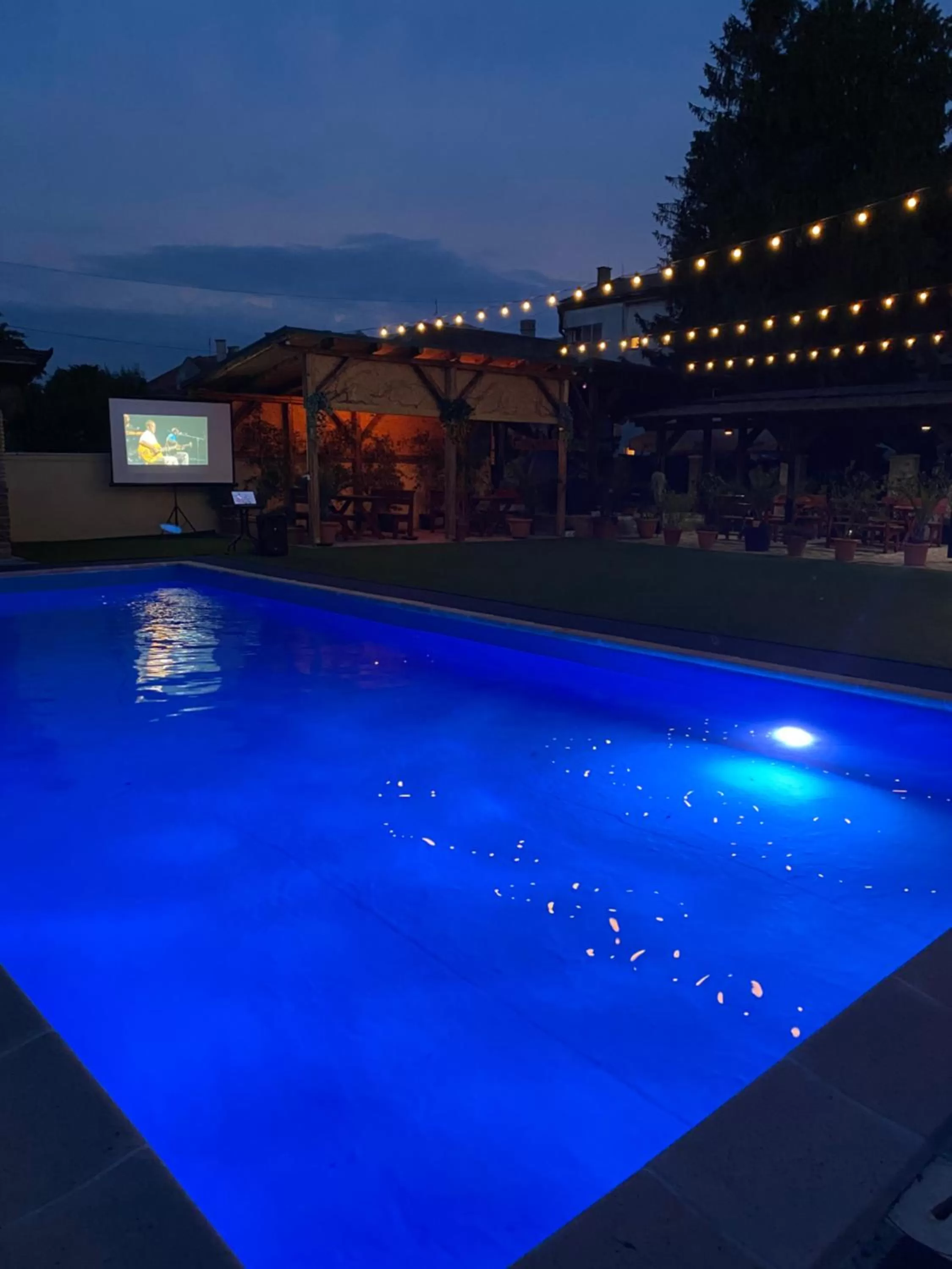 Swimming Pool in Garden House