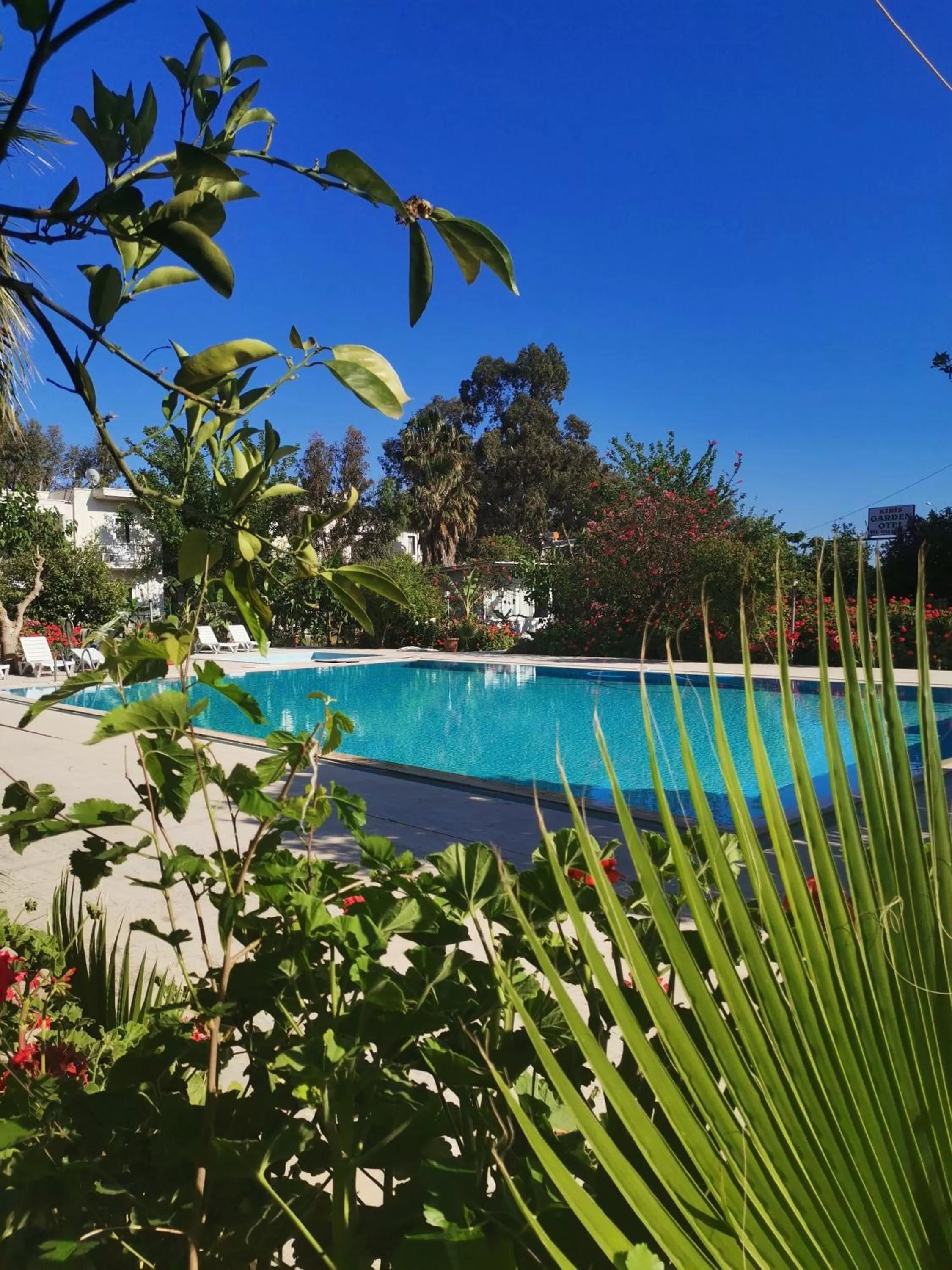 Pool view, Swimming Pool in Kiriş Garden Hotel