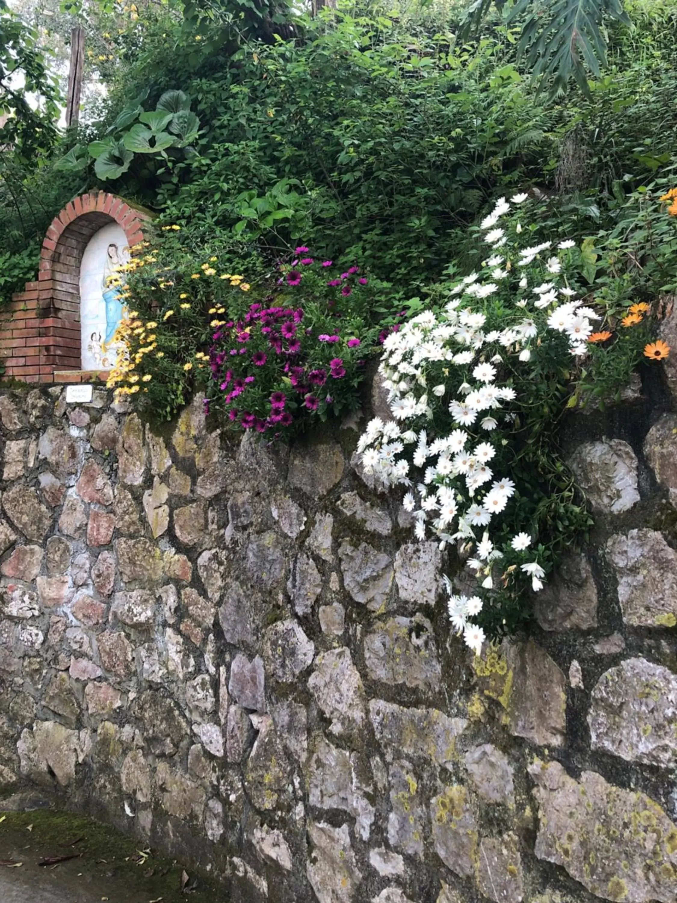 Agriturismo b&b L arancio In fiore