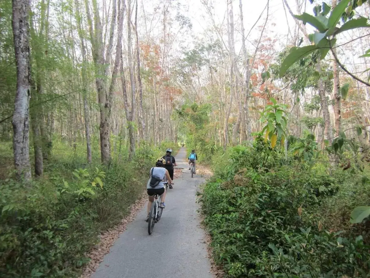 Cycling, Horseback Riding in Berjaya Langkawi Resort