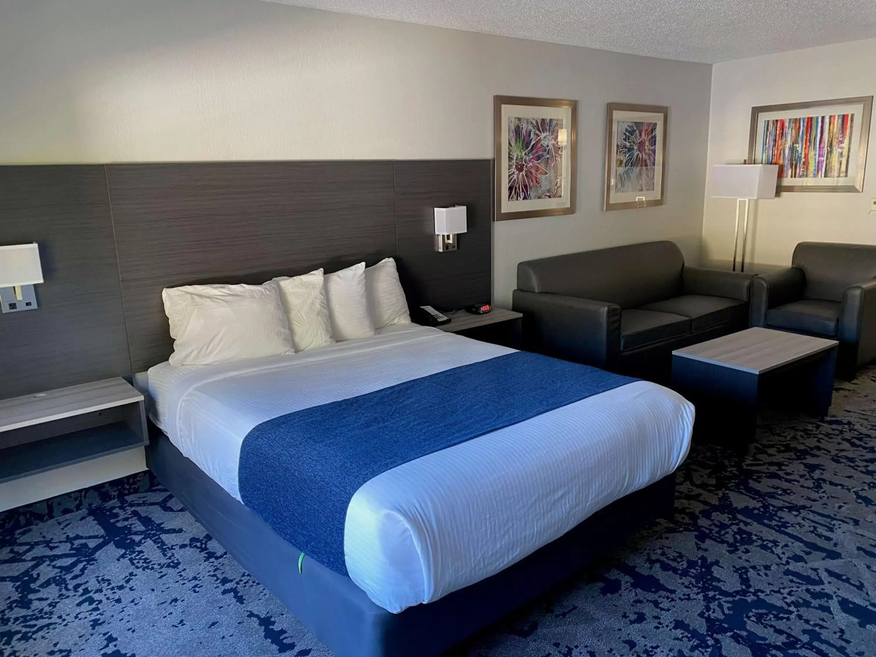 Photo of the whole room, Bed in Best Western Allatoona Inn & Suites