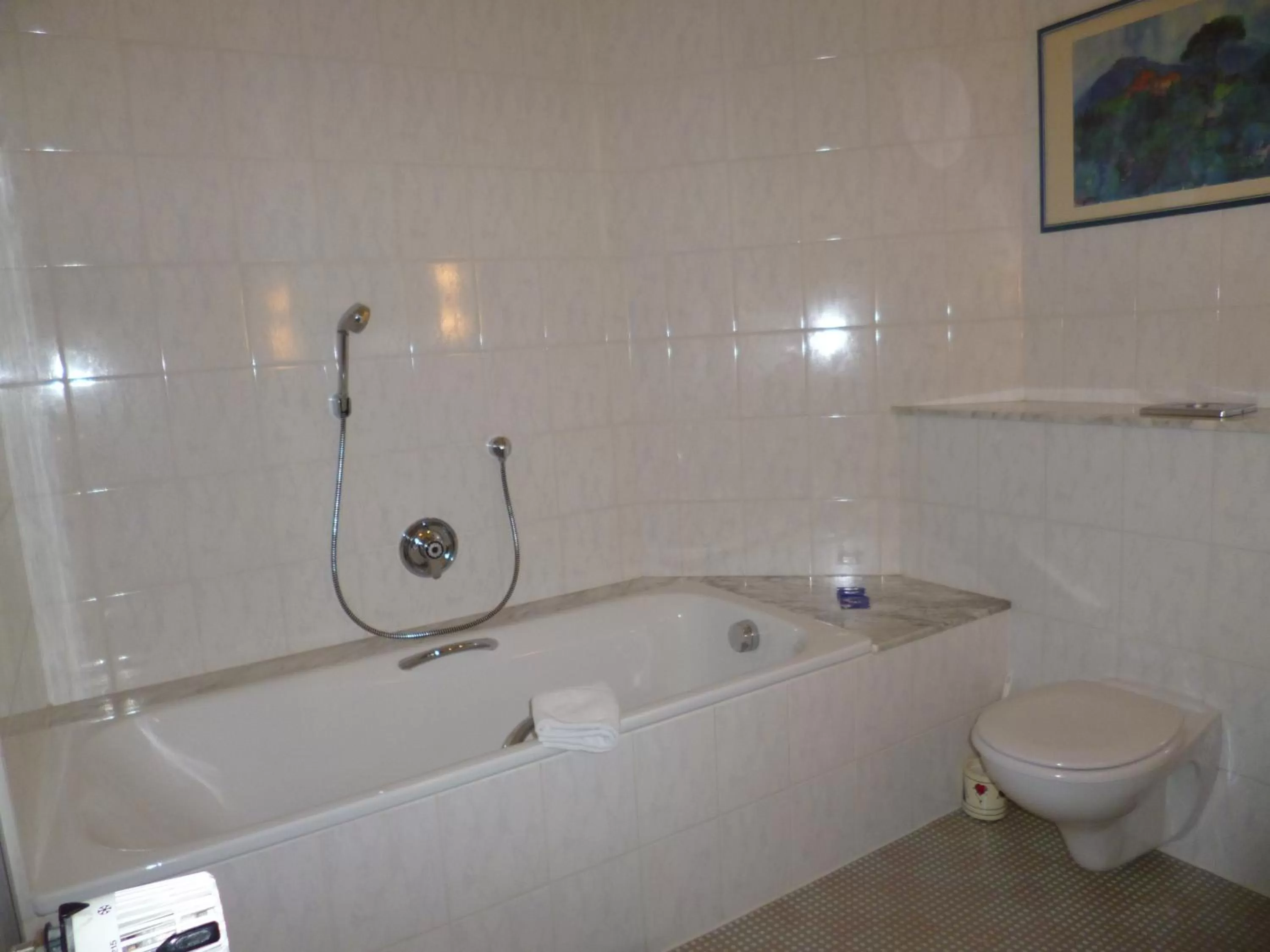 Toilet in Hotel Restaurant Marbella