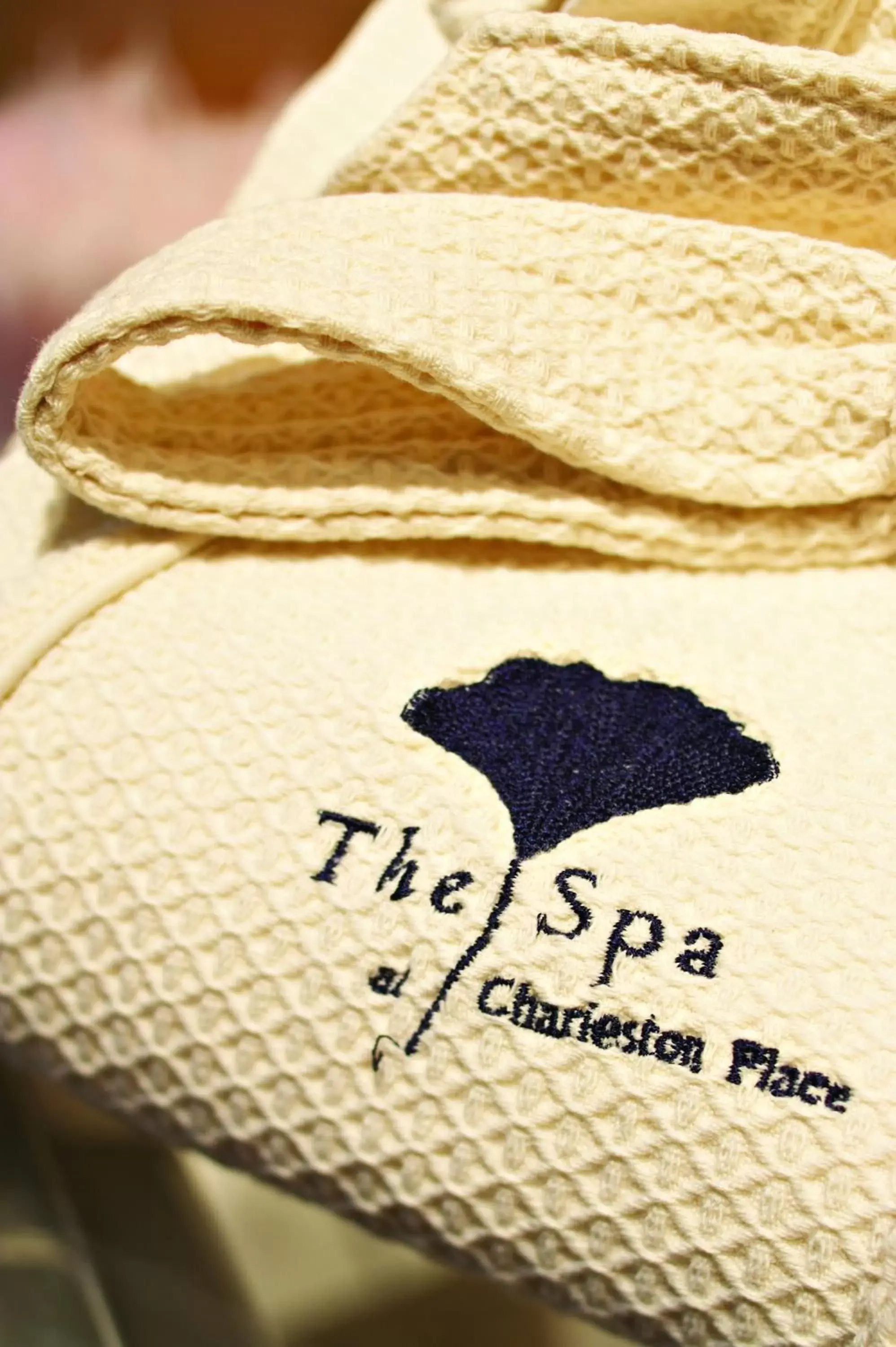 Spa and wellness centre/facilities, Property Logo/Sign in The Charleston Place