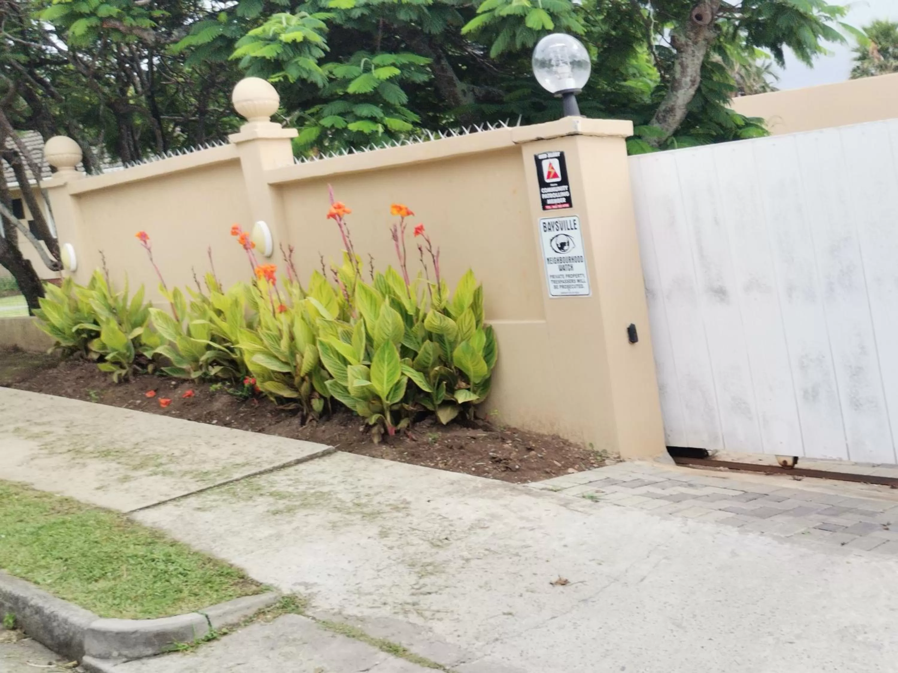 Property building in Palm Tree BnB