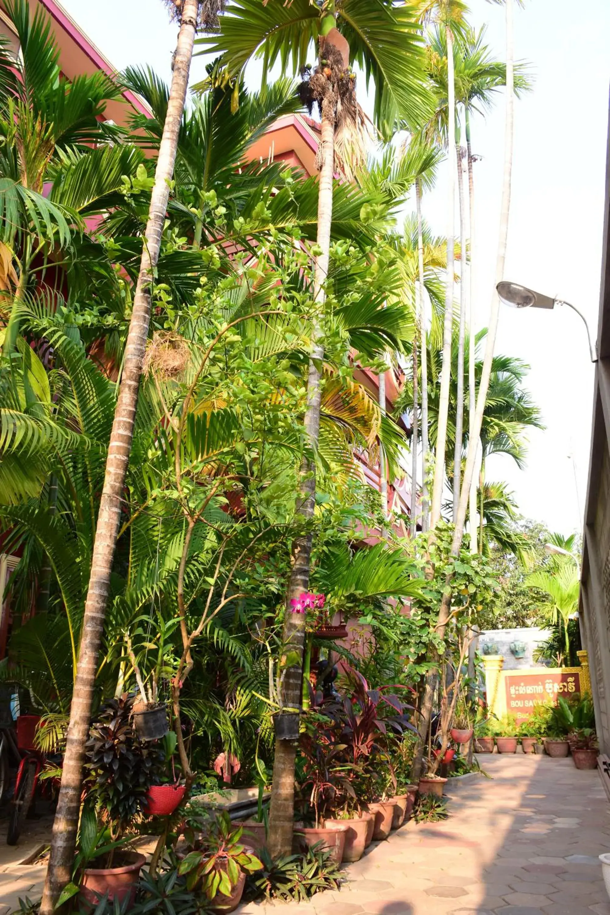 Facade/entrance in Bou Savy Guesthouse Facade/entrance in Bou Savy Guesthouse