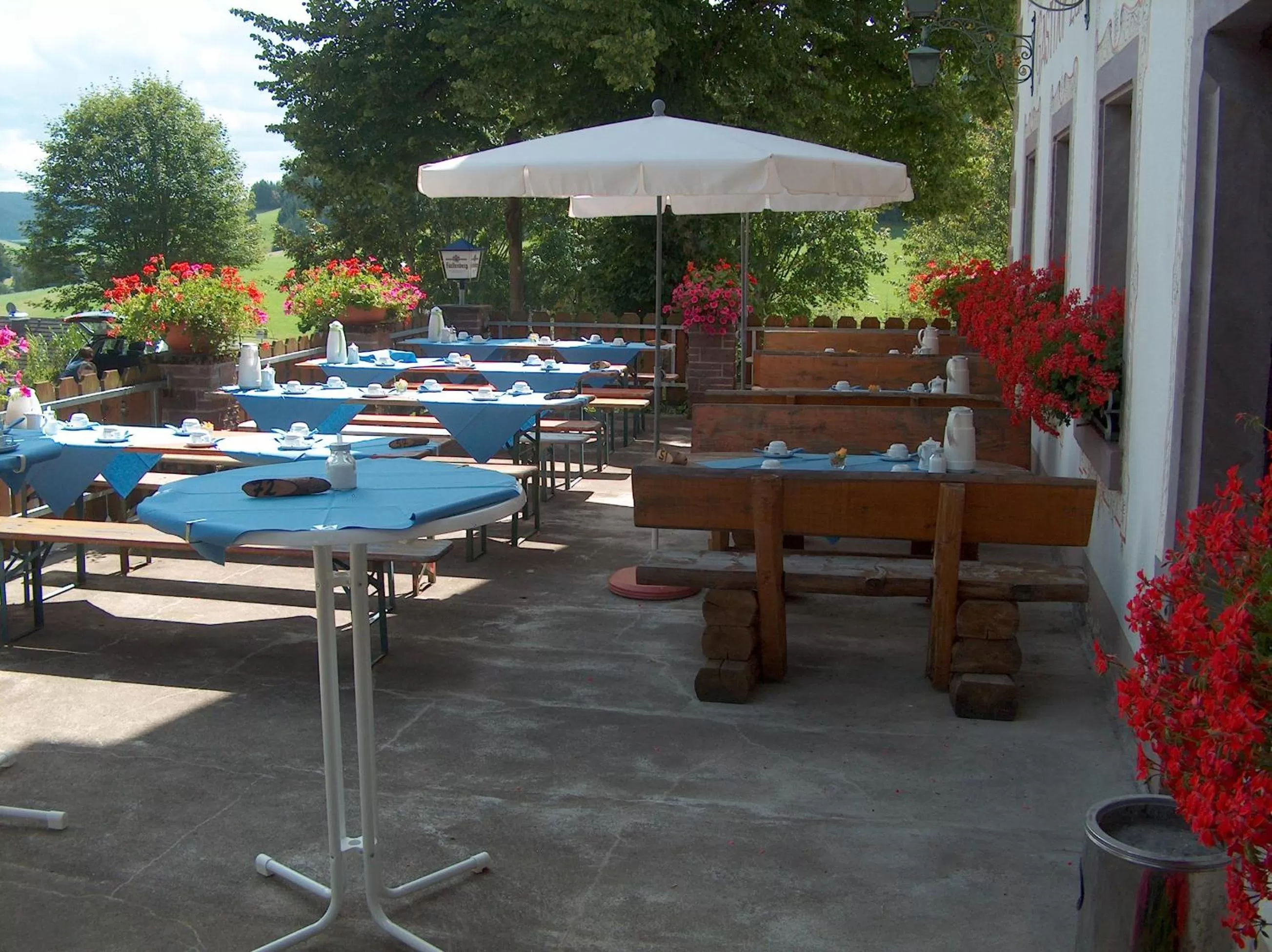 Balcony/Terrace in ZUR TRAUBE Schwarzwaldhotel & Restaurant am Titisee