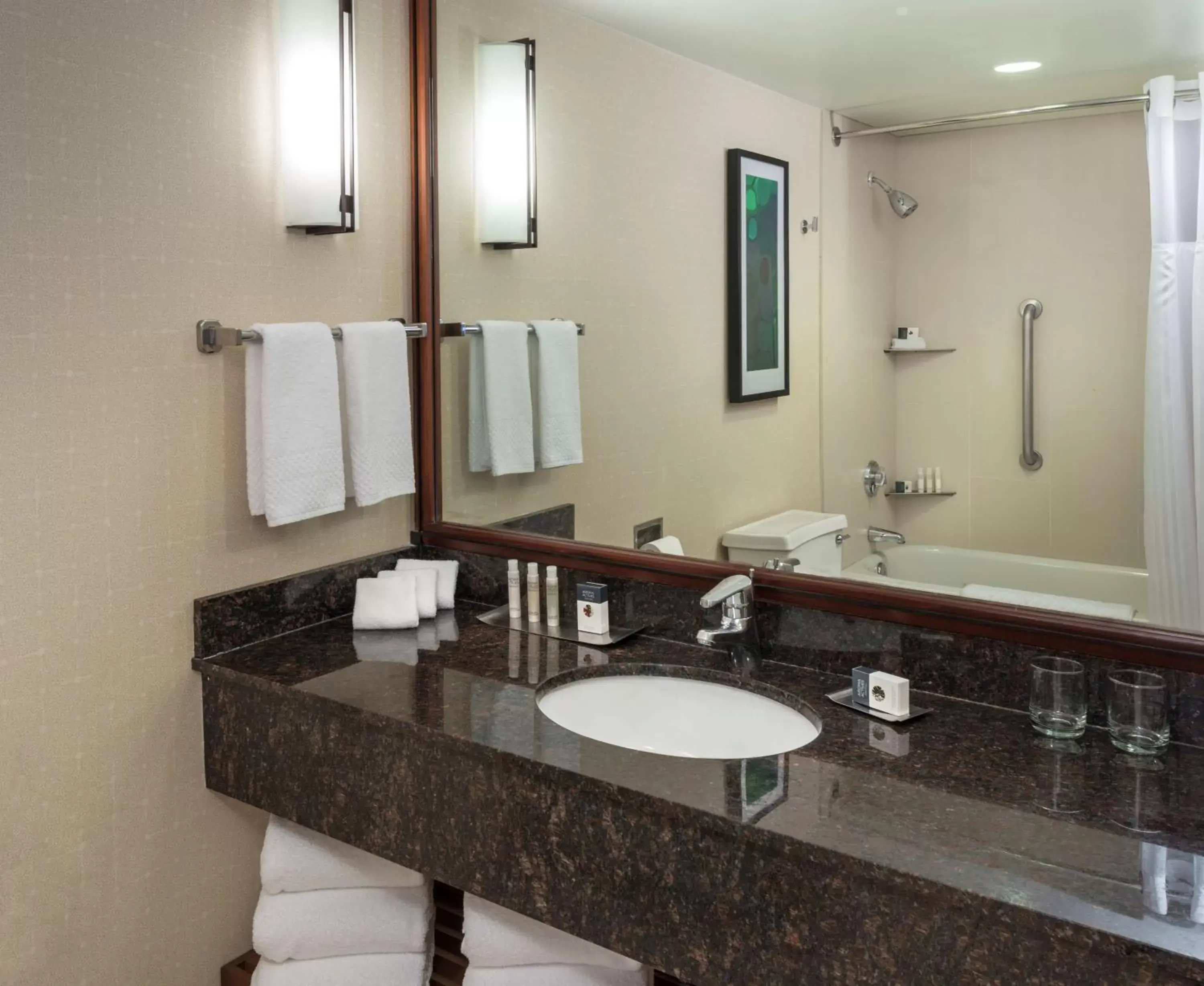 Bathroom in DoubleTree Suites by Hilton Hotel & Conference Center Chicago-Downers Grove