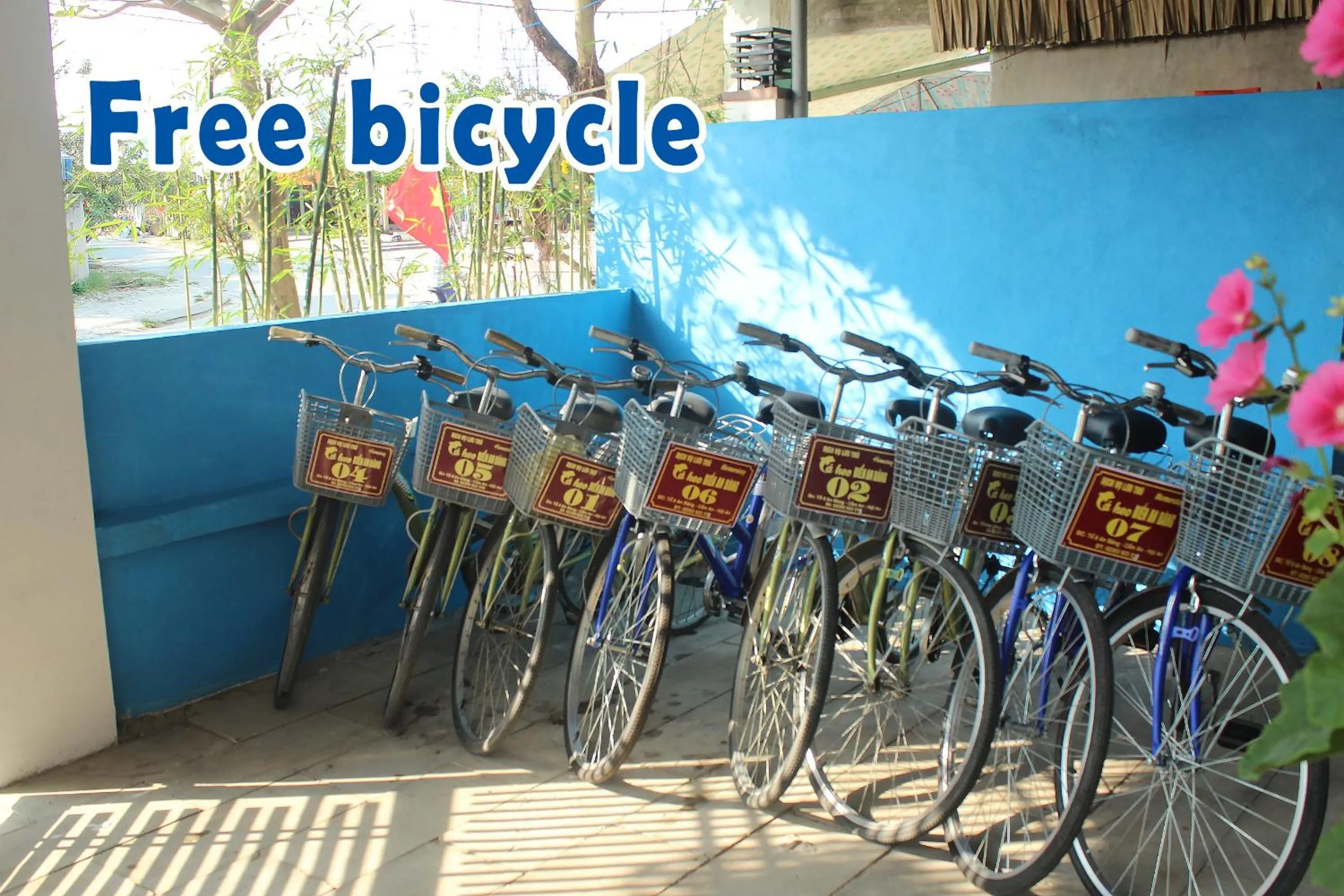 Area and facilities in An Bang Beach Dolphin Homestay