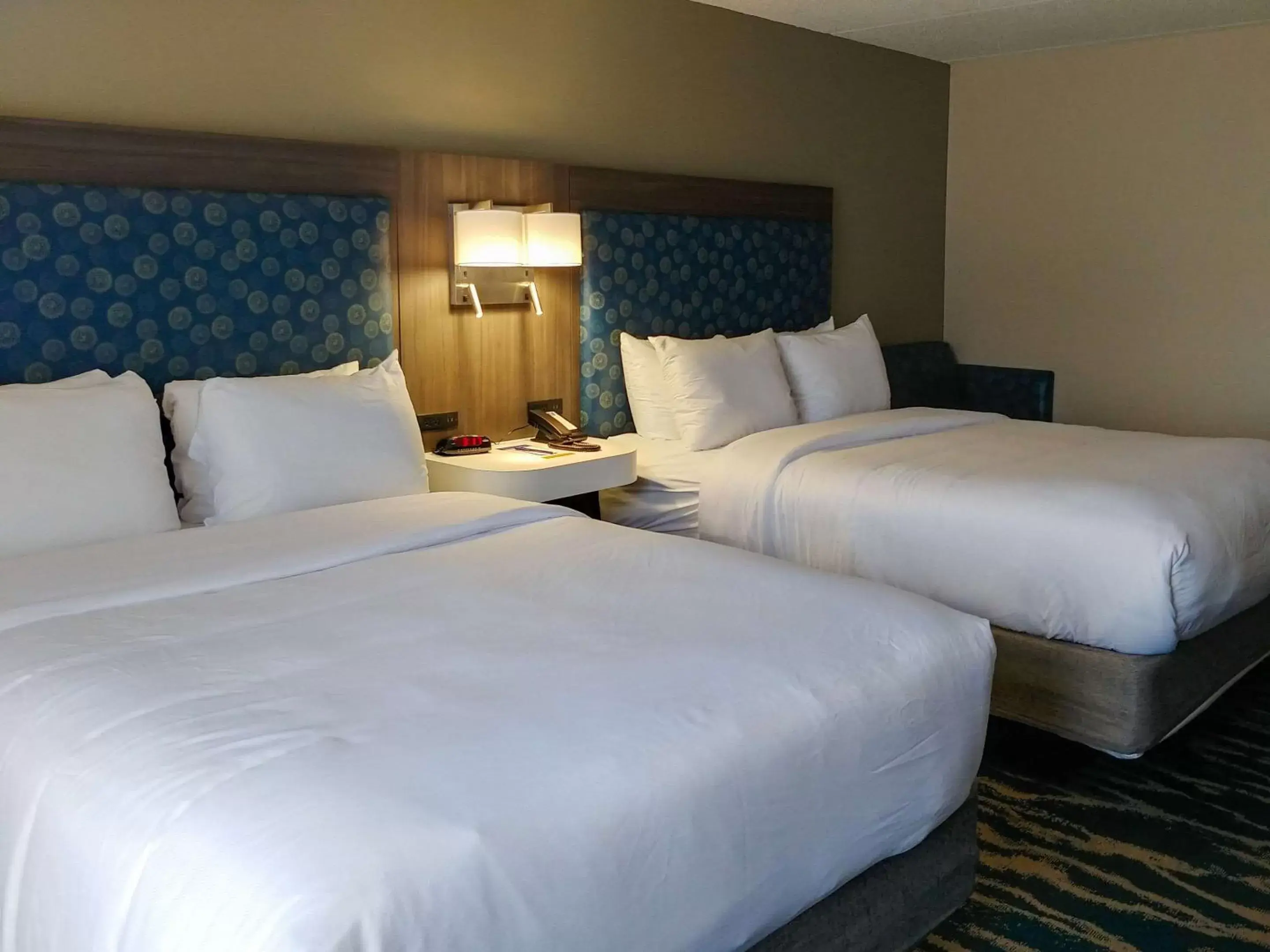 Bedroom, Bed in Comfort Inn & Suites Greenville Near Convention Center